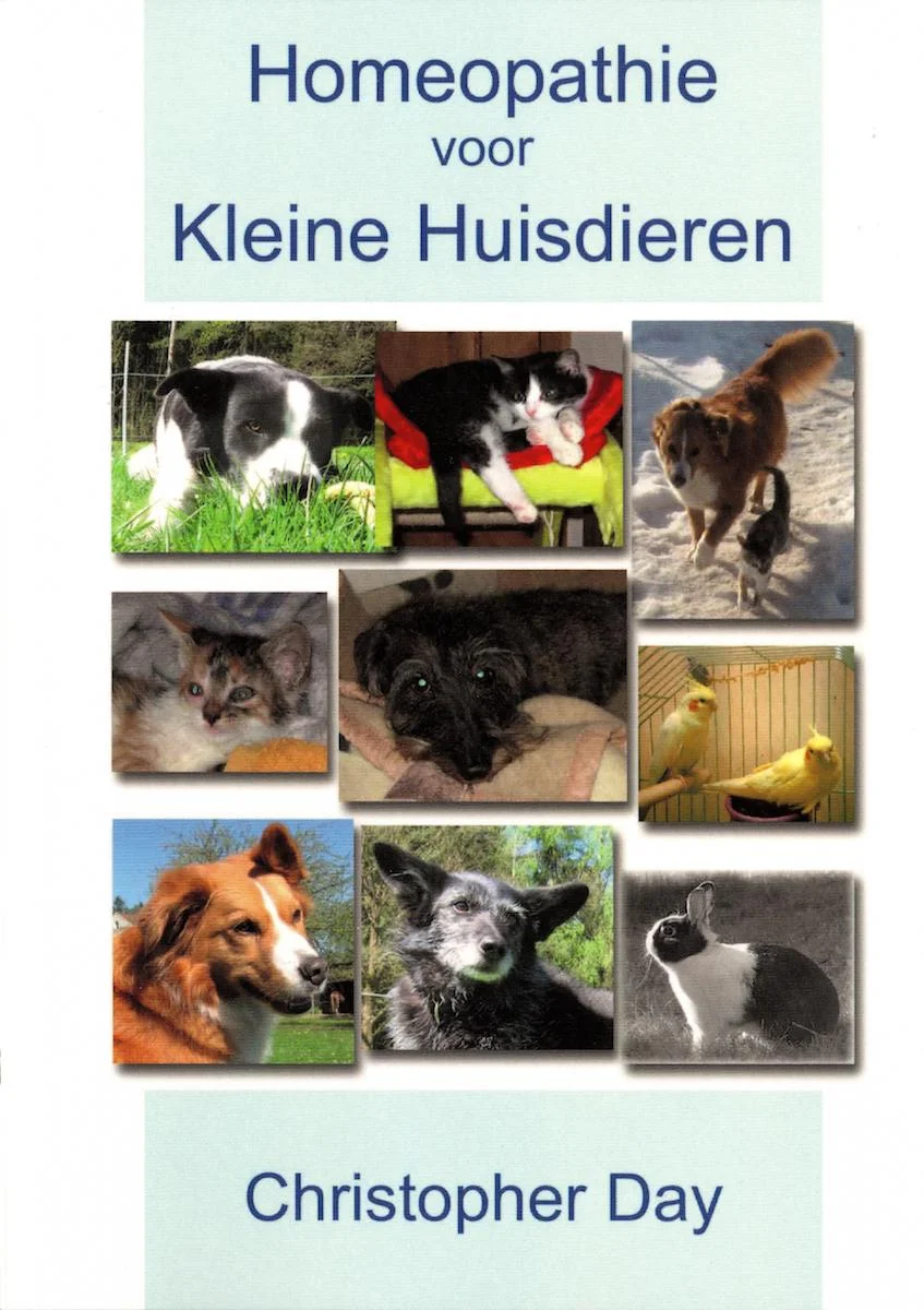 Dierenboek.jpeg