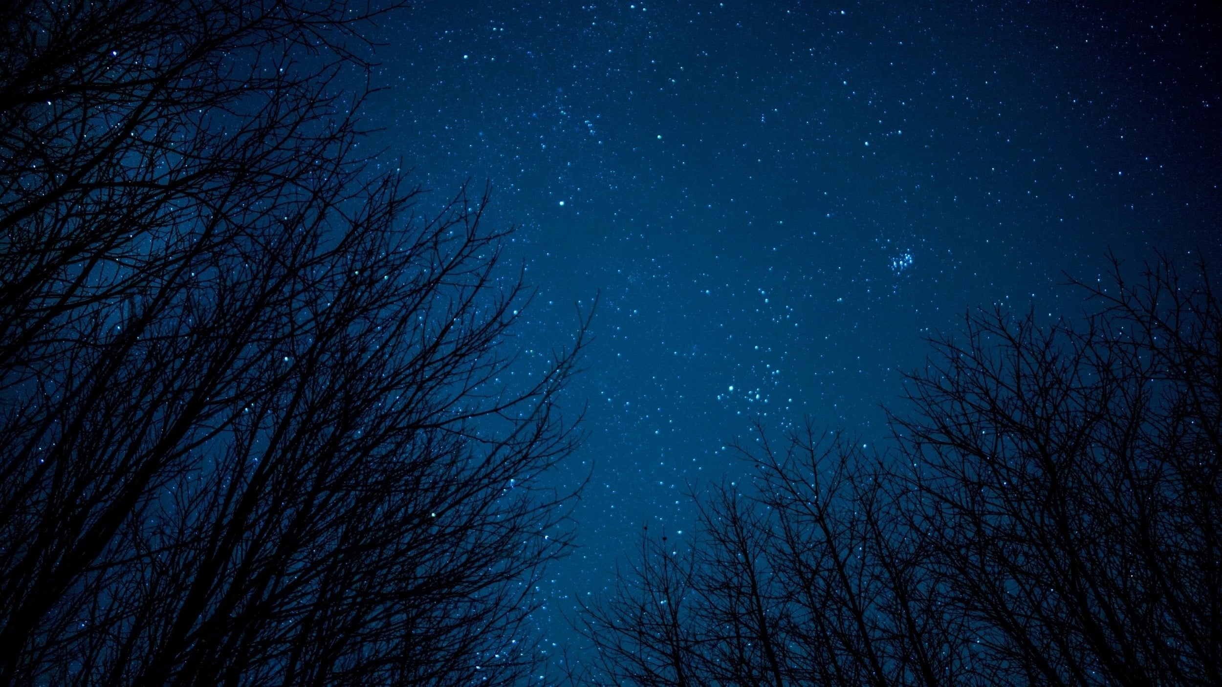 Blue Night Skies