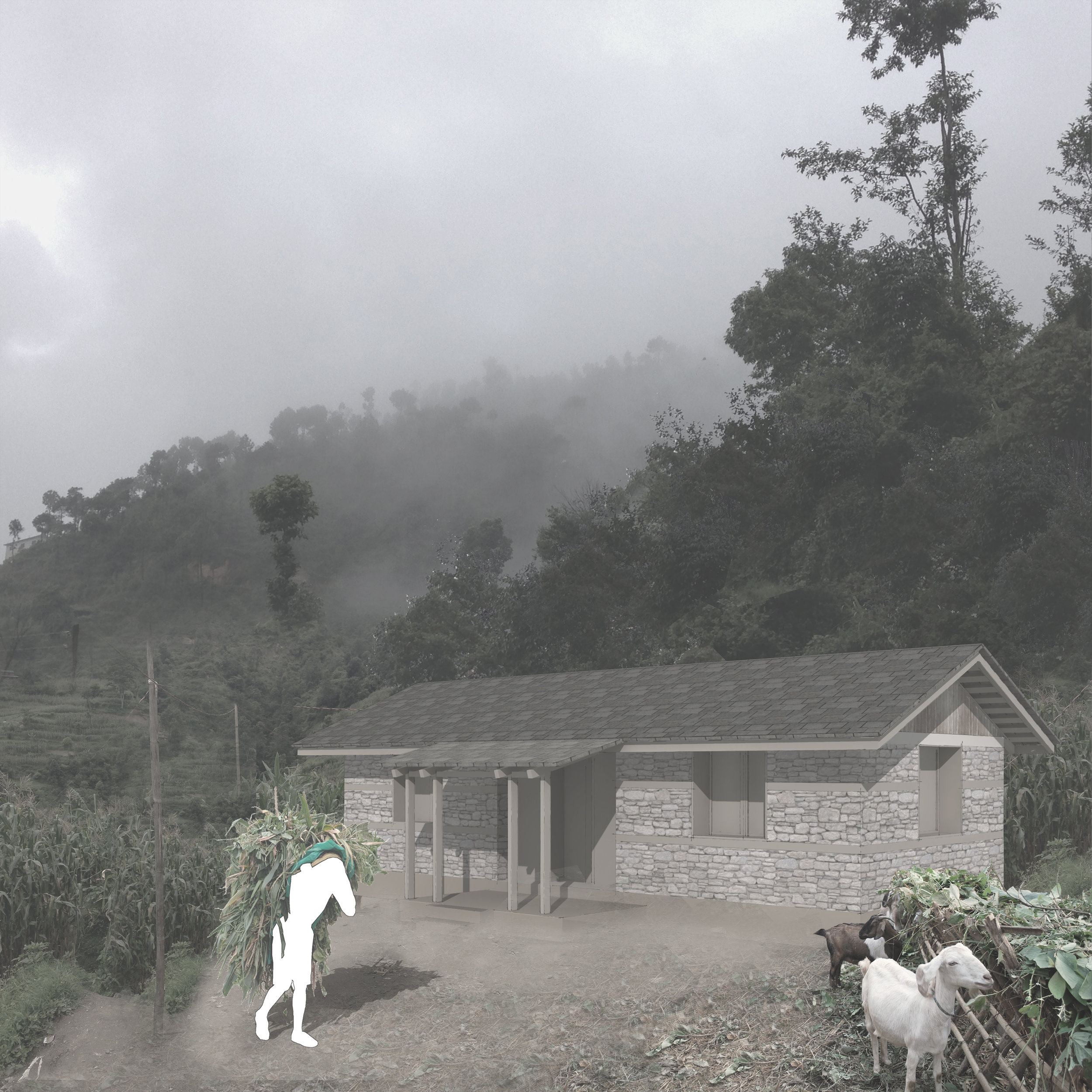 large single house.jpg