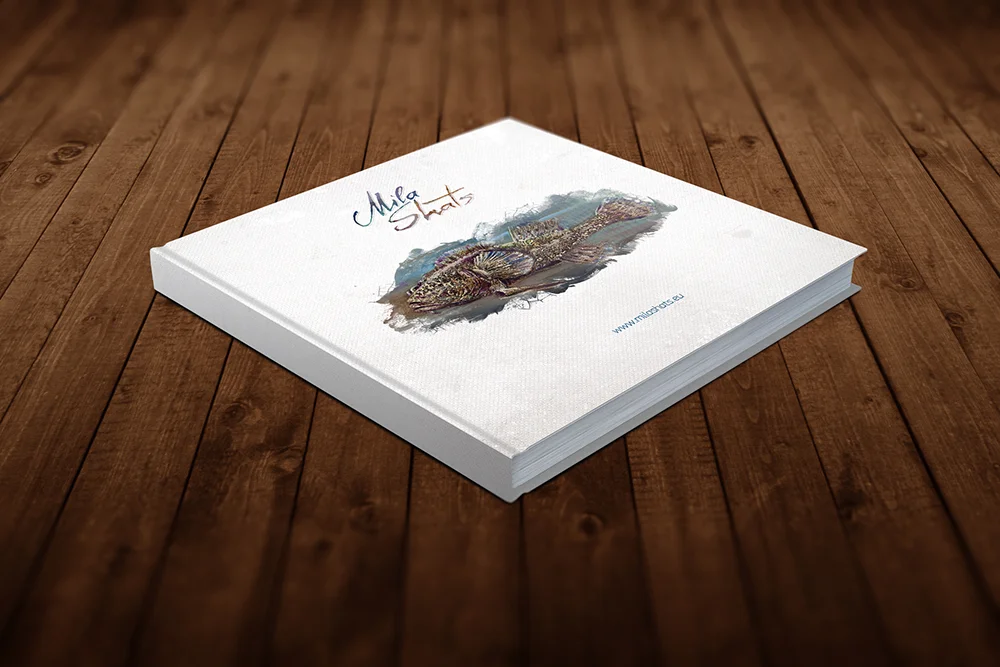 Artist_portfoolio_book_1.jpg