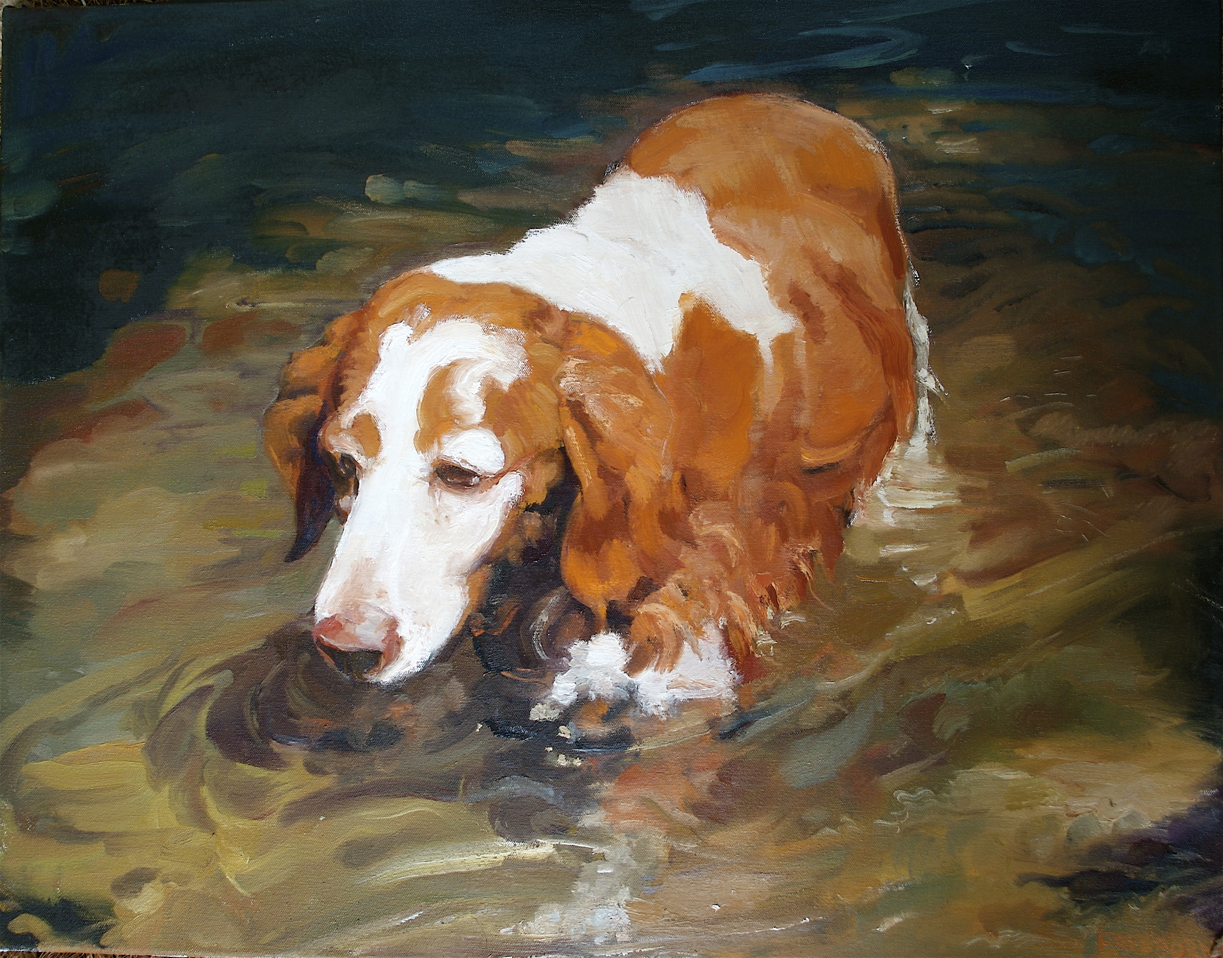 Reflection, oil on canvas
