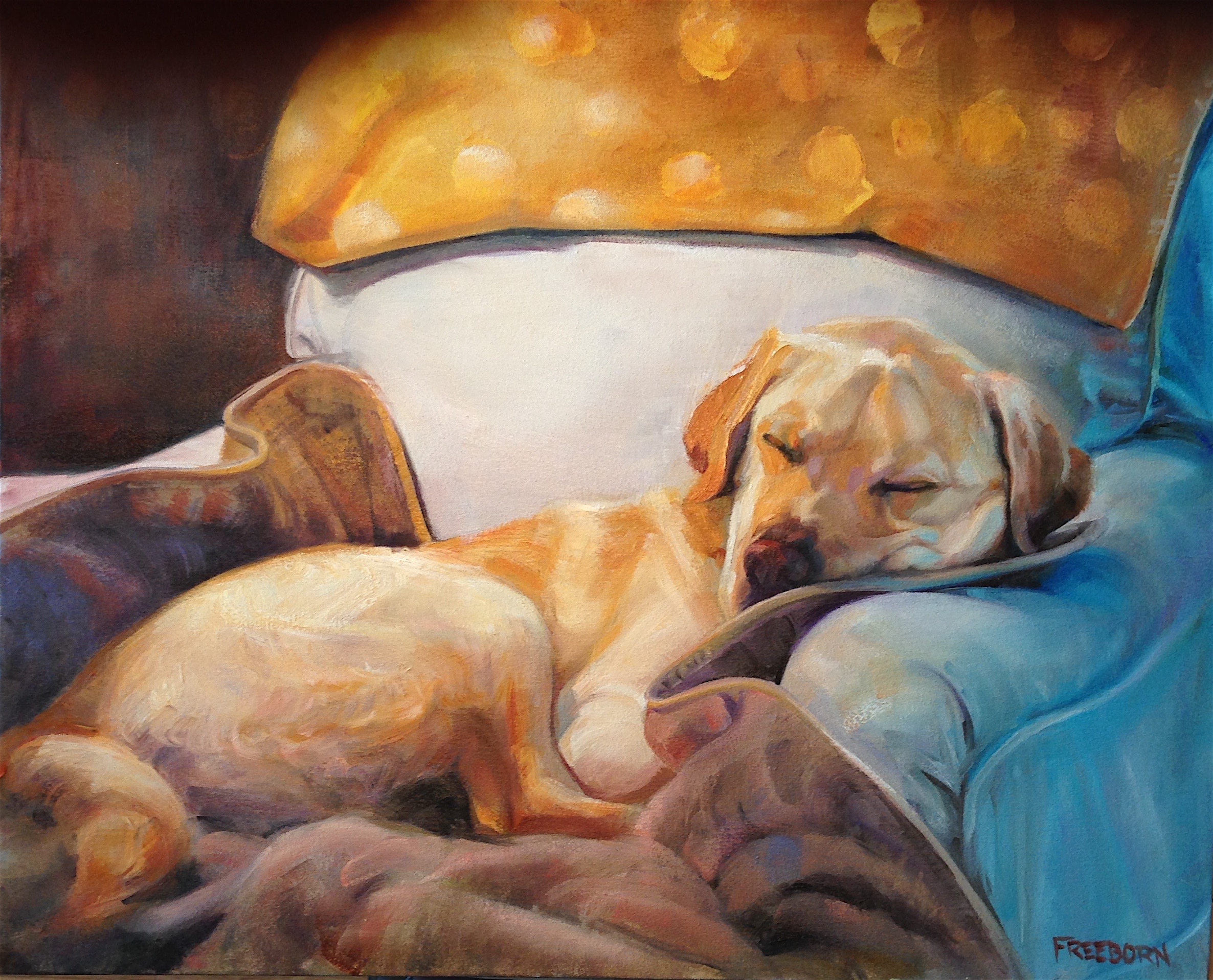 Sammy, Oil on canvas