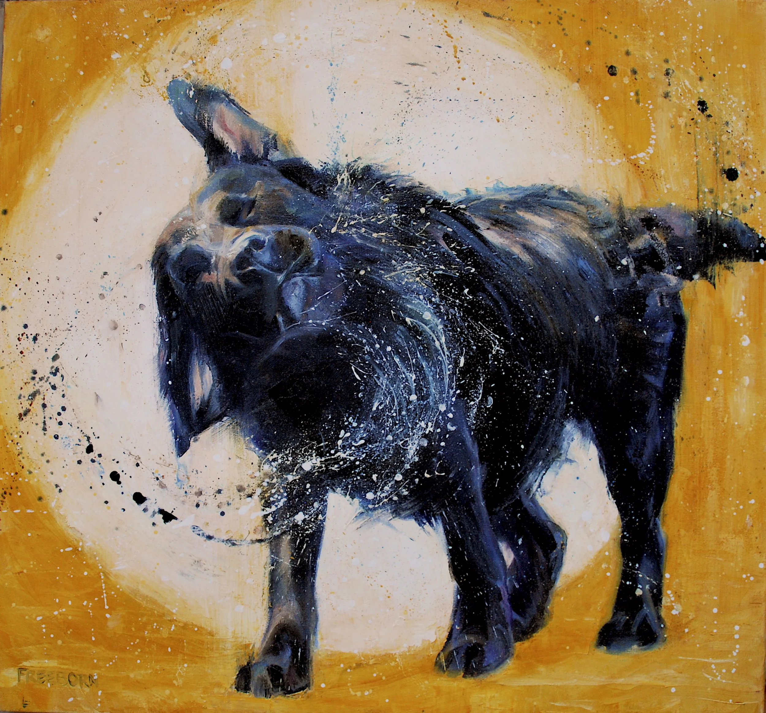 Solar Eclipse, 30" x 30" oil on canvas, SOLD, prints available