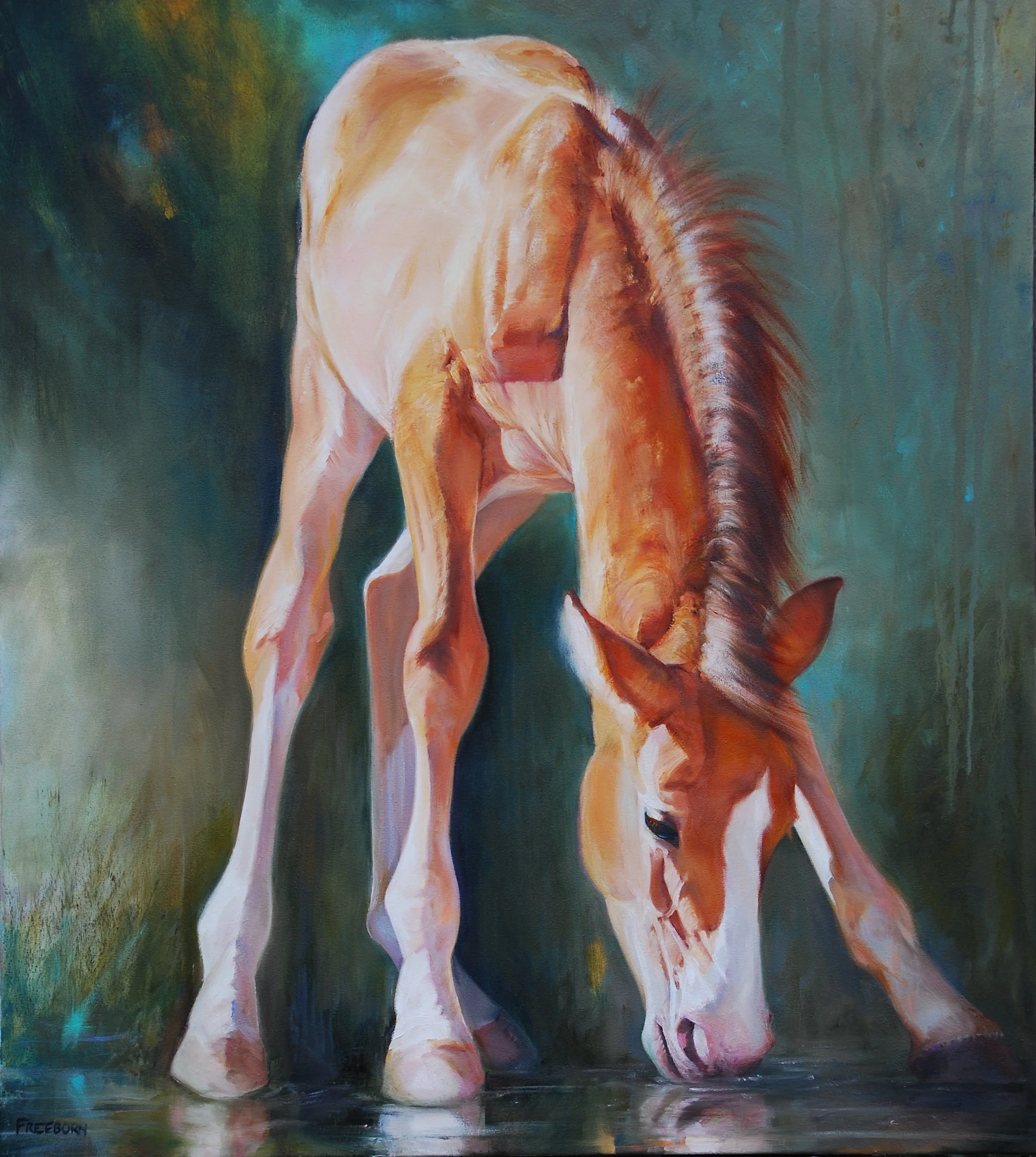 Salt River Foal, 32" x 30" oil on canvas