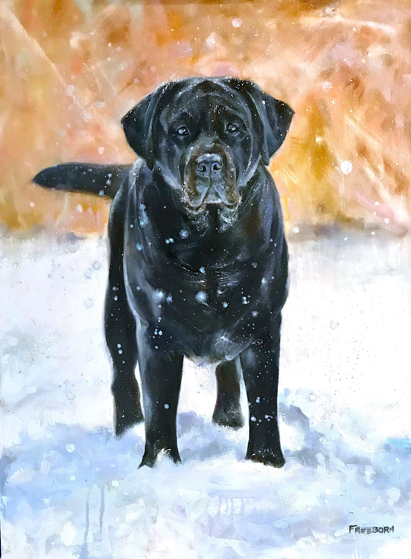 Sherman, 36” x 27” oil on canvas
