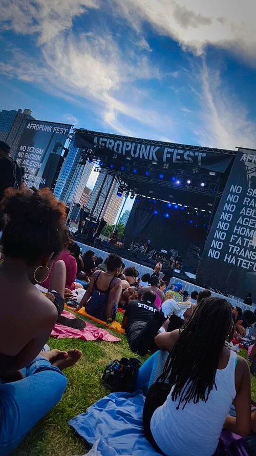 RECAP: Afropunk Fest 2015