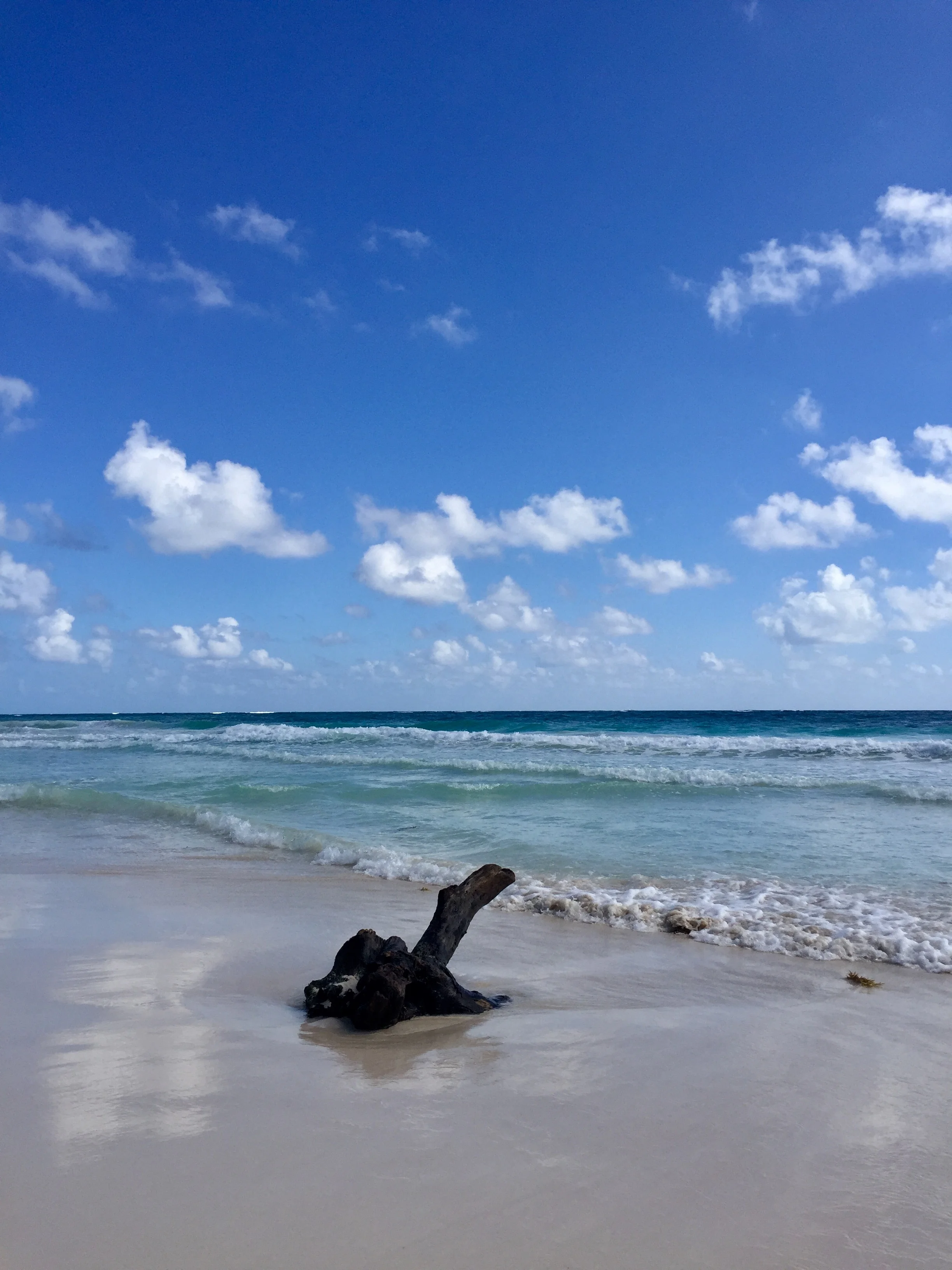 SANDI TRAVELS: TULUM, MEXICO