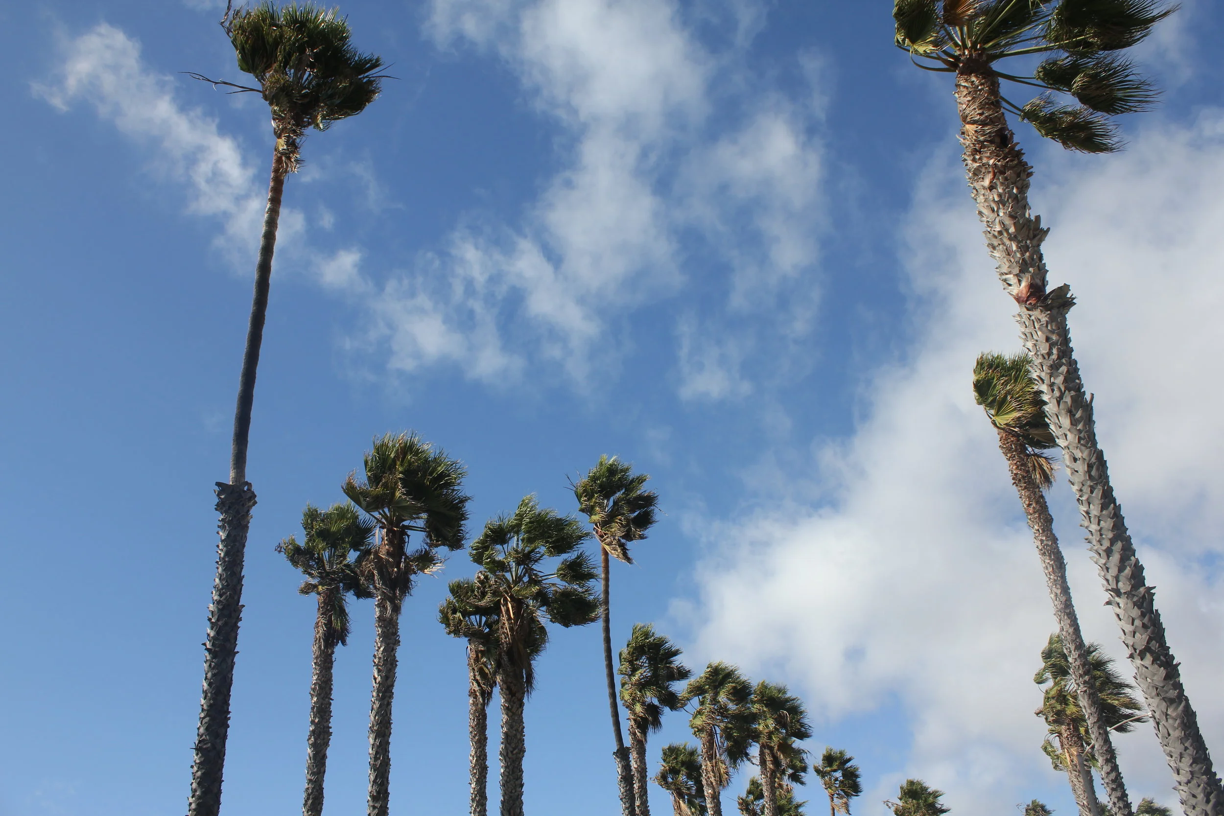 A Bachelorette Weekend in Malibu