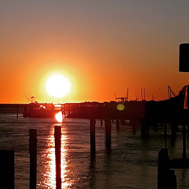 &quot;To see a World in a grain of sand,
And a Heaven in a wild flower, 
Hold infinity in the palm of your hand,
And eternity in an hour.&quot; ~ #williamblake 
#november #liny #fireislandinlet #oakbeachlife