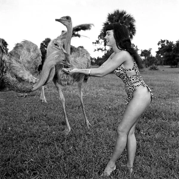 jungle bettie ostrich.jpg