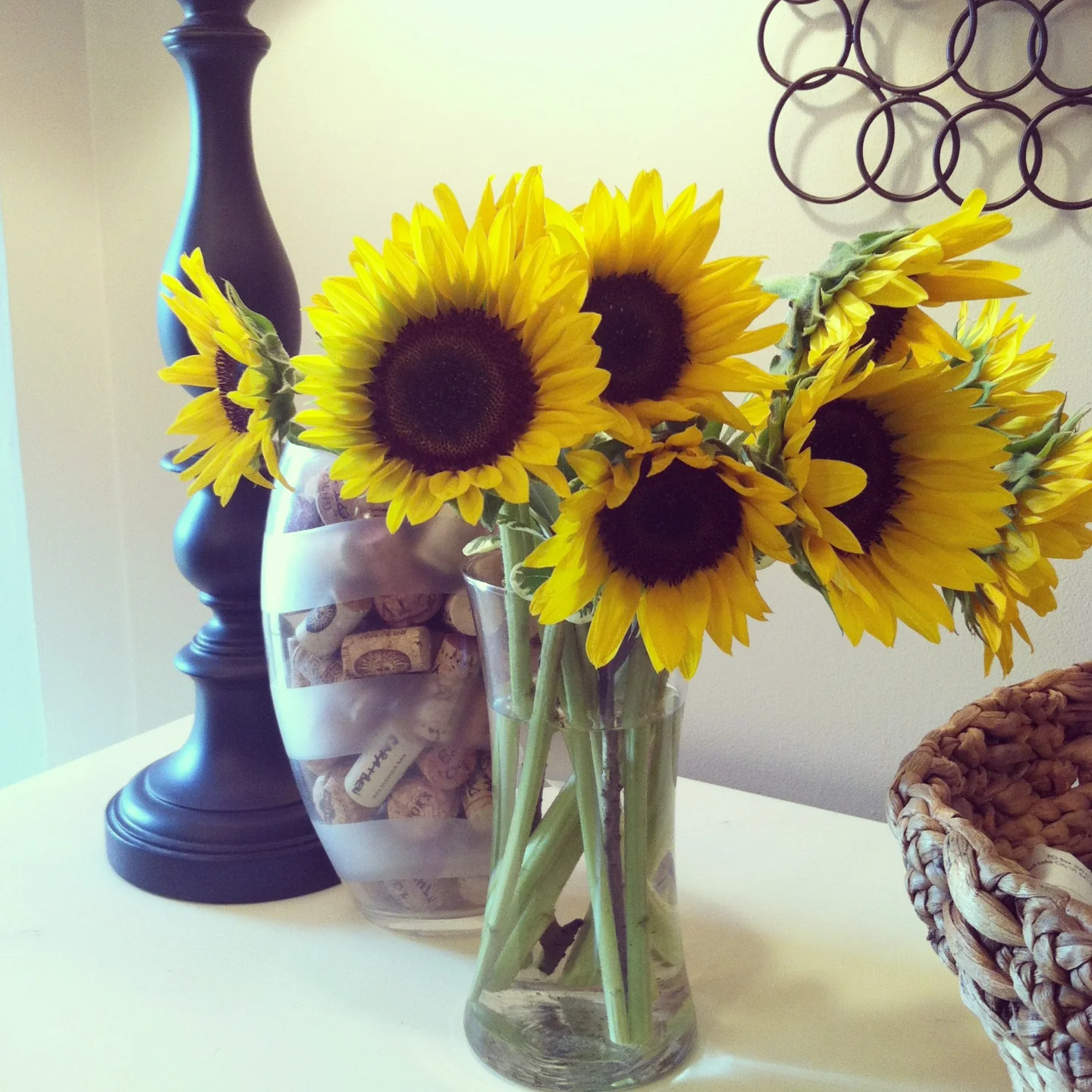 sunflowers.jpg