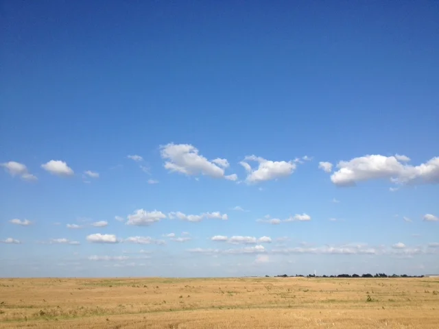 What I Think About When I Think About Running