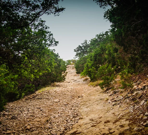 Life Herself Without Rabid Hype