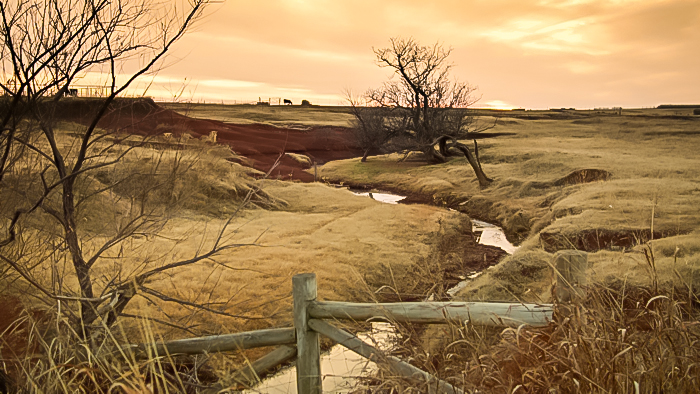 oklahoma pasture.jpg