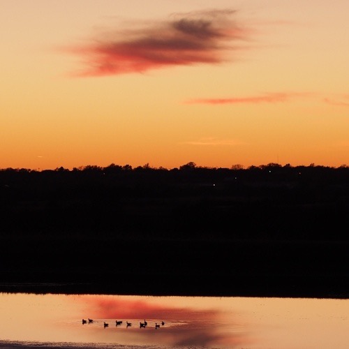 sunset on the pond.jpeg