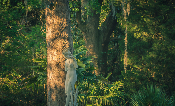 A photo I took while flaneuring-with-camera in South Carolina.