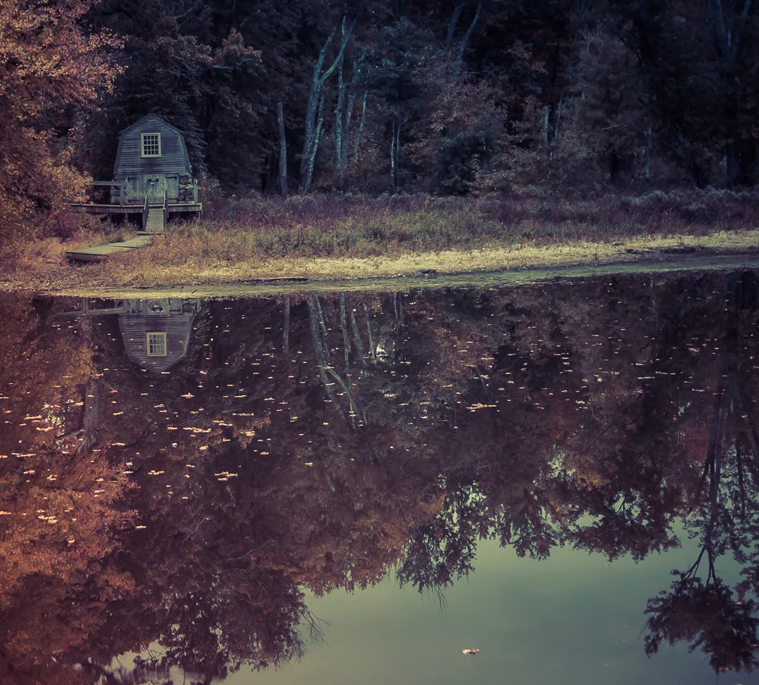 Photo taken near Lexington, Mass ... where Thoreau, too, felt an ' autochthon of the soil' and the winds whirl their benignant errands.