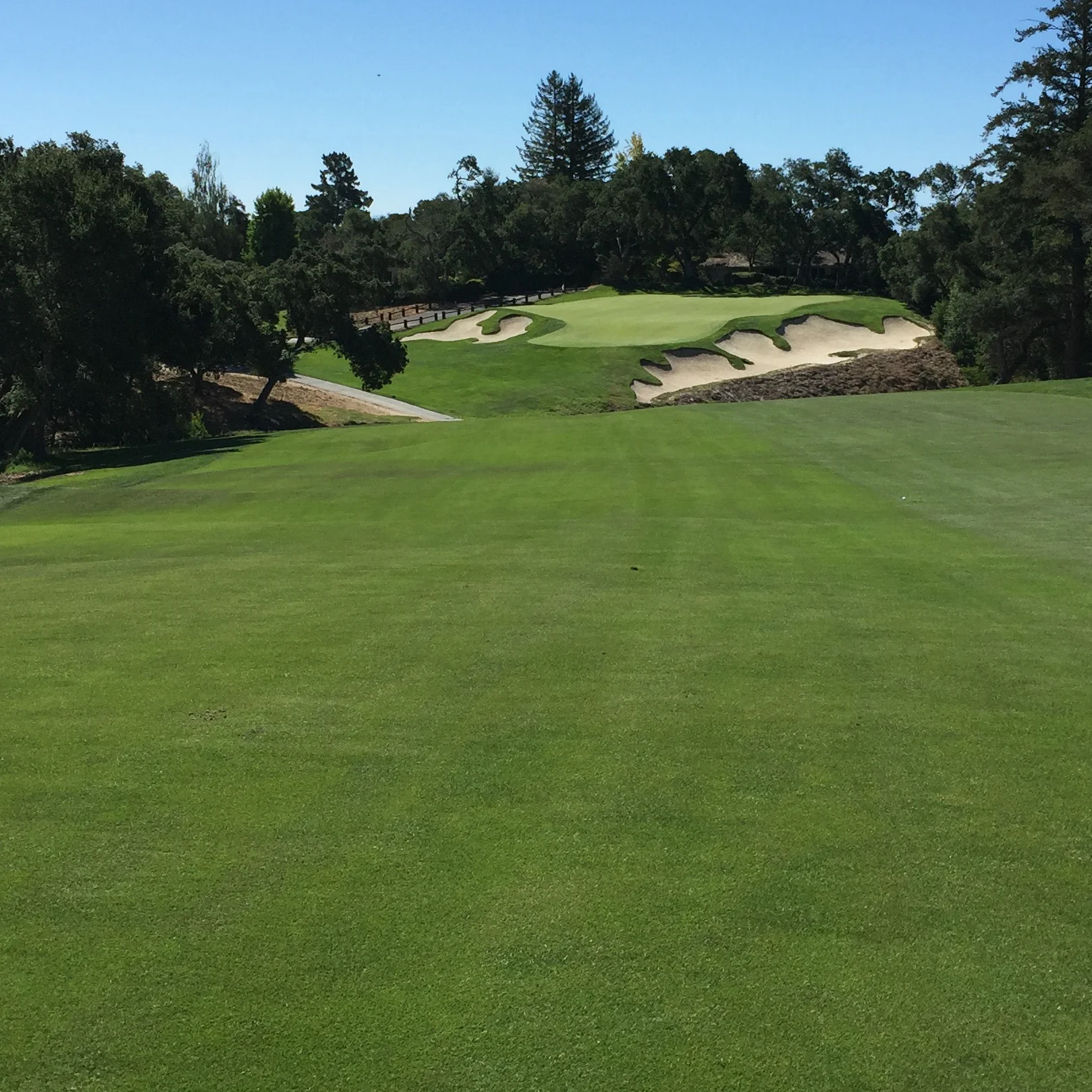 The sixteenth at Pasatiempo. Definitely best to hit the green on the right level here. I think my dad 5 putted this one, he, he. 