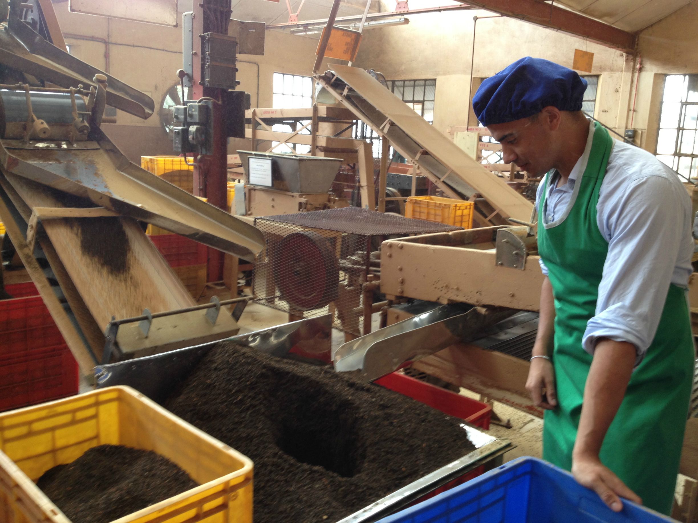  Me With Tea Grading Machine