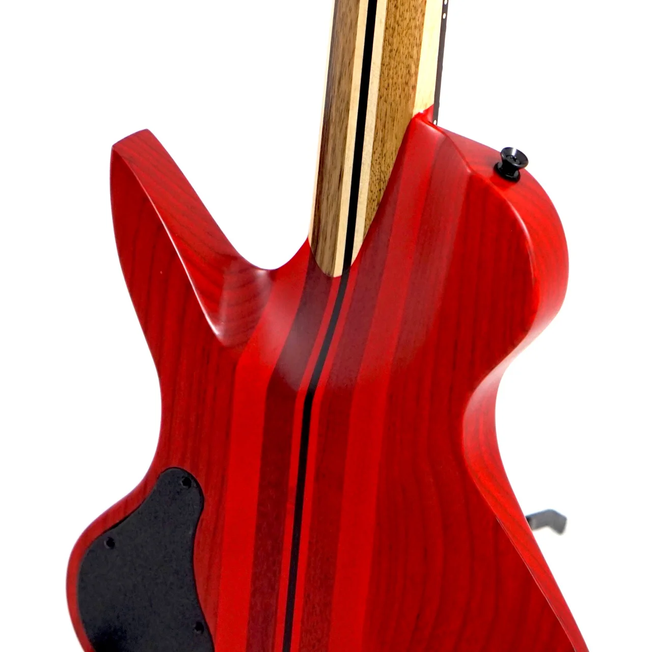 Medusa Back Top Angle.jpg