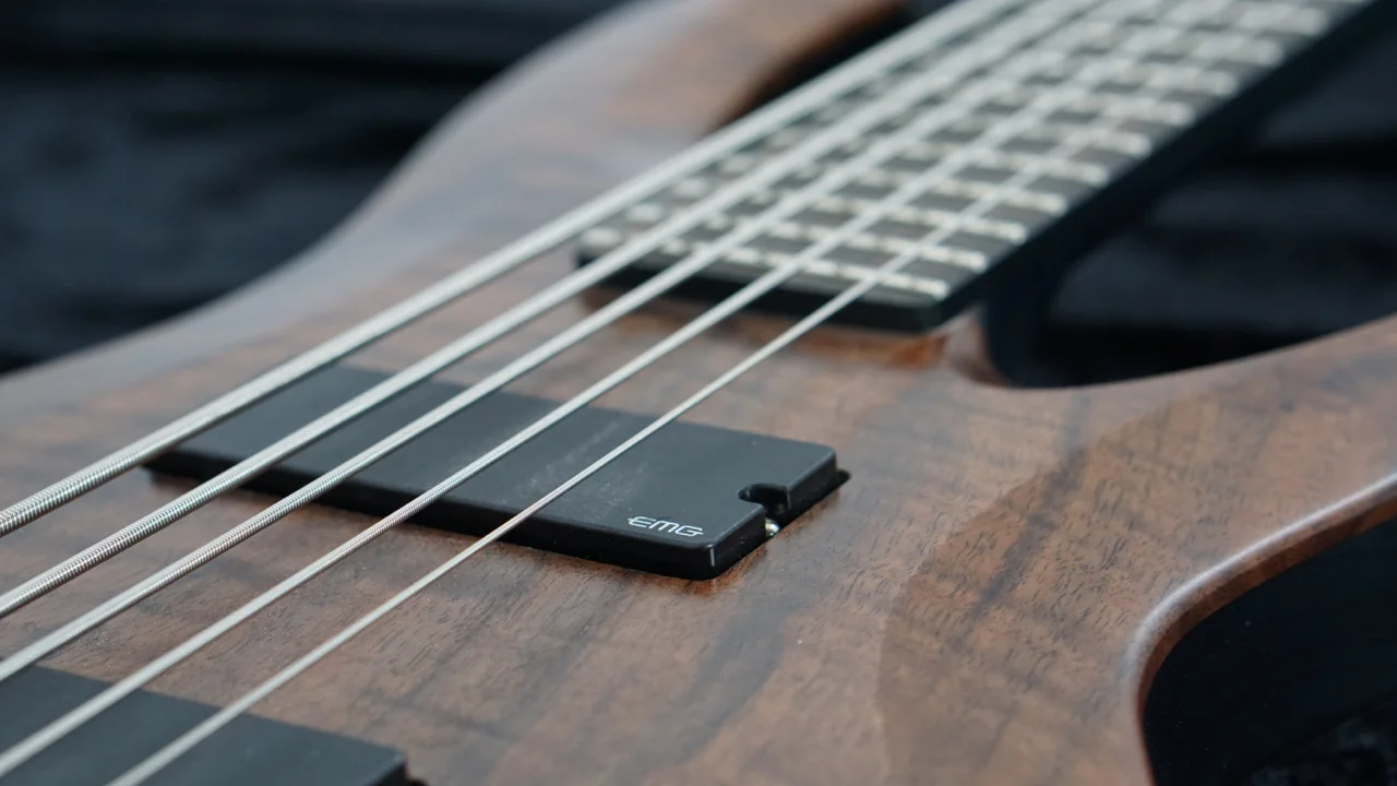 Bass_Walnut_5 - 10.jpg