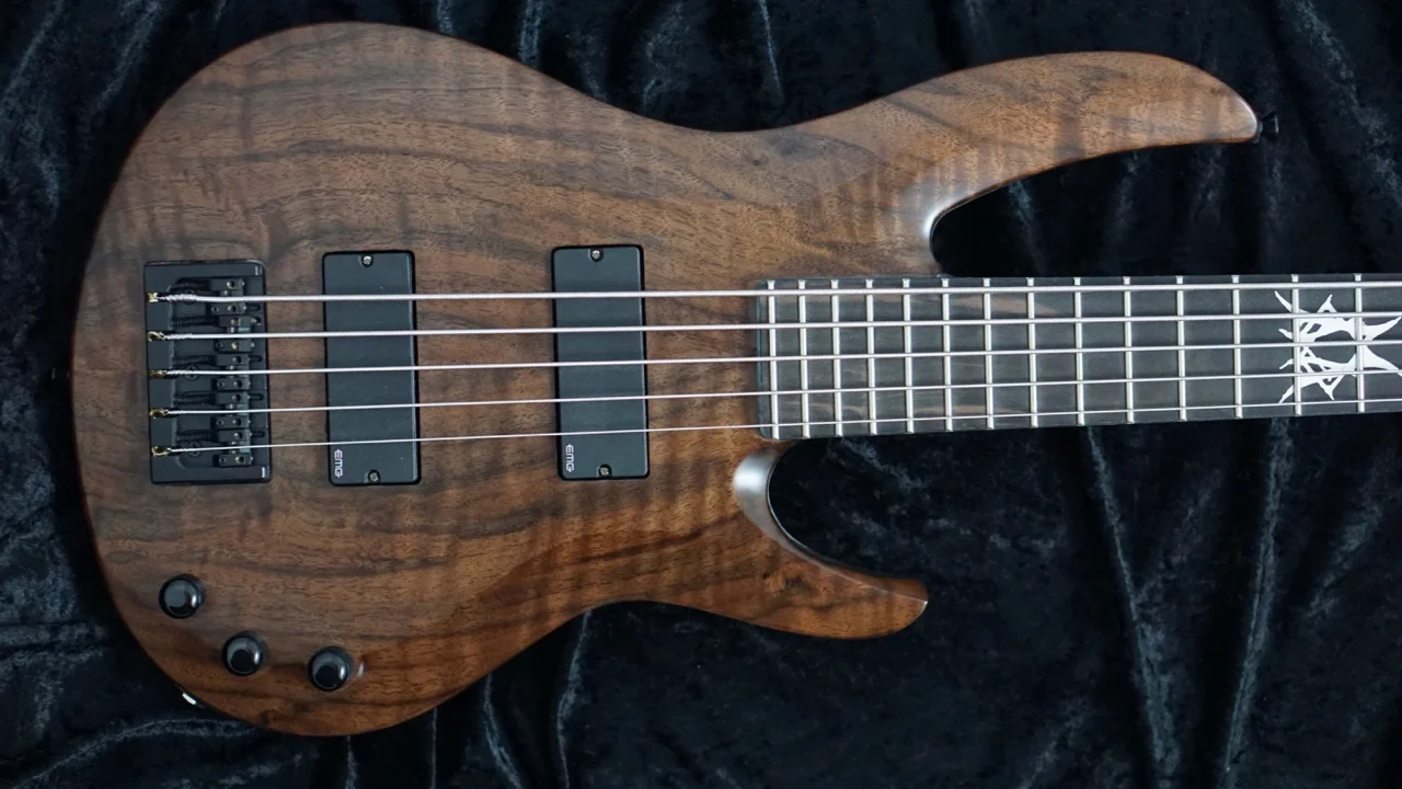 Bass_Walnut_5 - 2.jpg