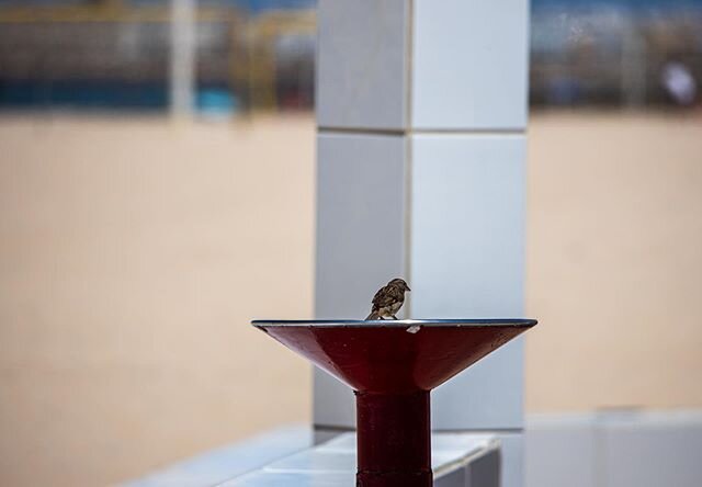 #SocialDistancing. Shot this in #playadelavictoria #Cadiz #Spain last year, a lifetime ago. My heart goes out to my friends and family in Spain and I can&rsquo;t wait to get back. Fuerza! #stayinside #covid19 #coronavirus