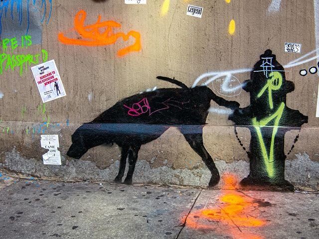 One of these days I will go out and start shooting again. Until then back to this 2013 piece by @banksy which seems appropriate for now. The dog is 2020 and we are all getting pissed on! #banksyart #banksy #banksyny