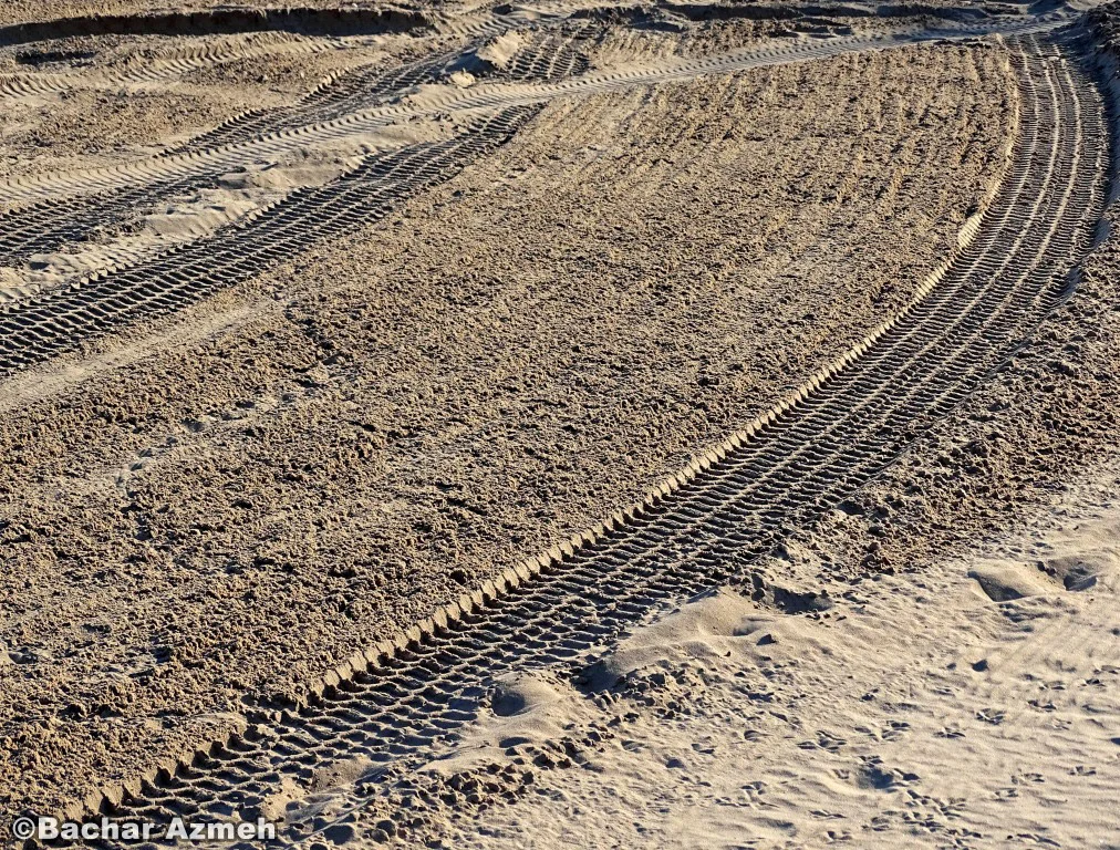 Sandy shoreline