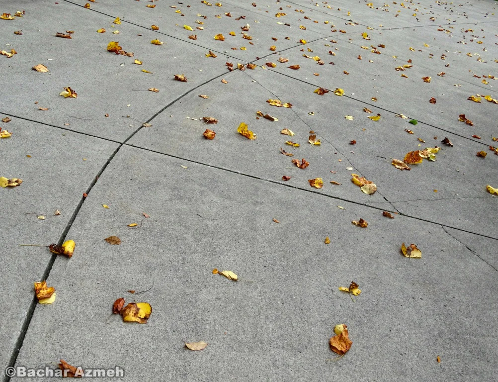 Saturation curve
