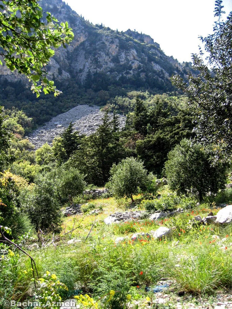 Sea mountains