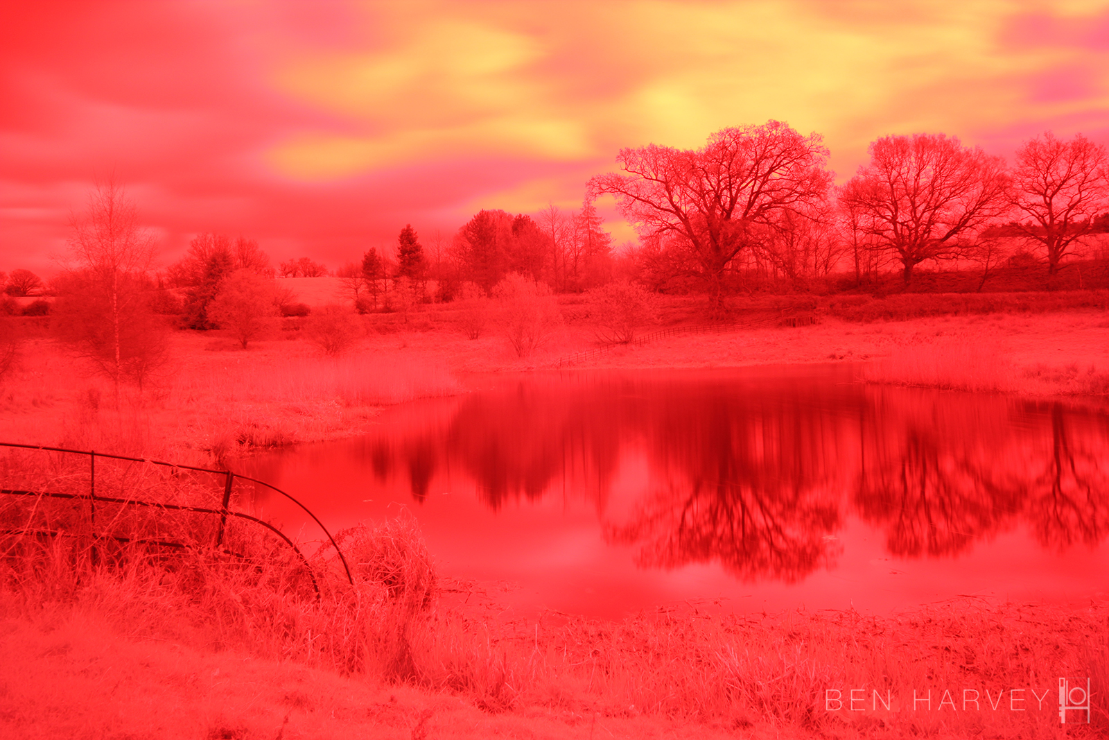 This is what the raw file will look like (without the white balance corrected)