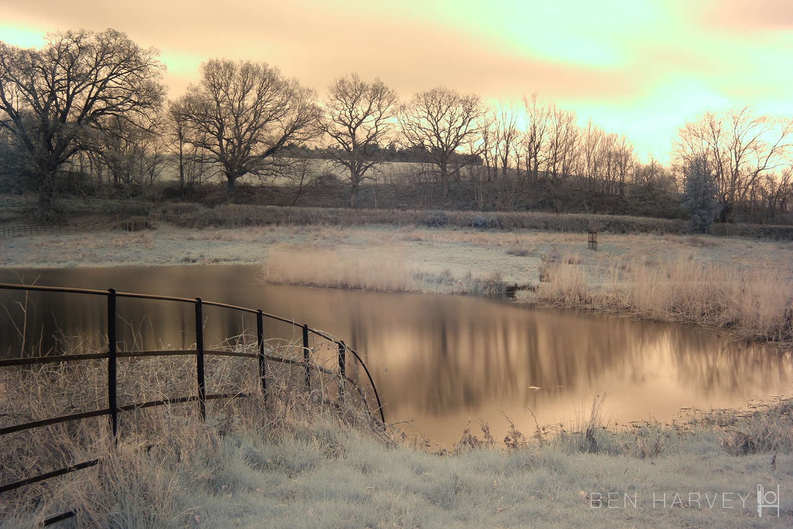 This is the corrected white balance image - looking a bit more normal now...