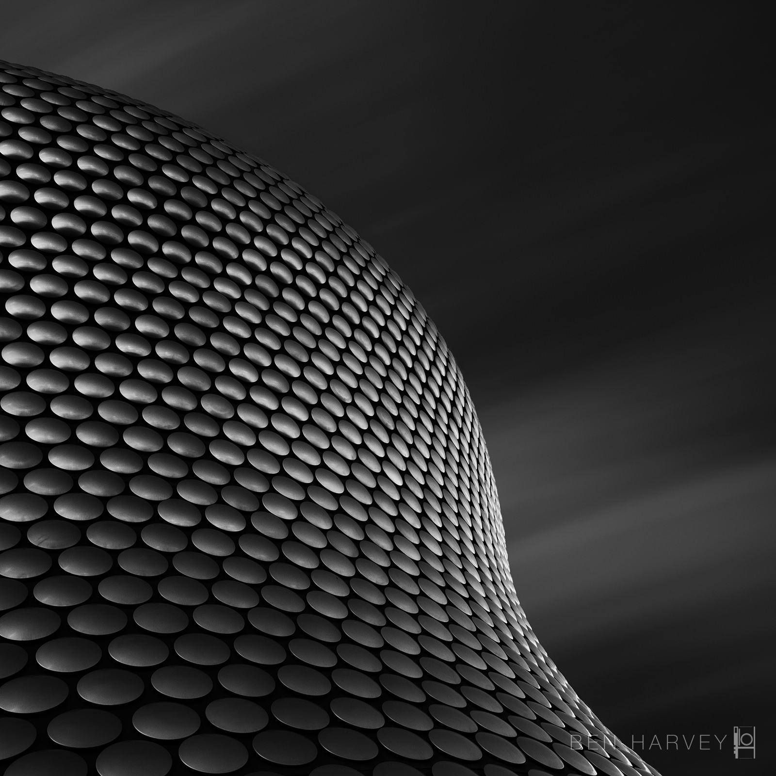BIRMINGHAM LOGO.jpg