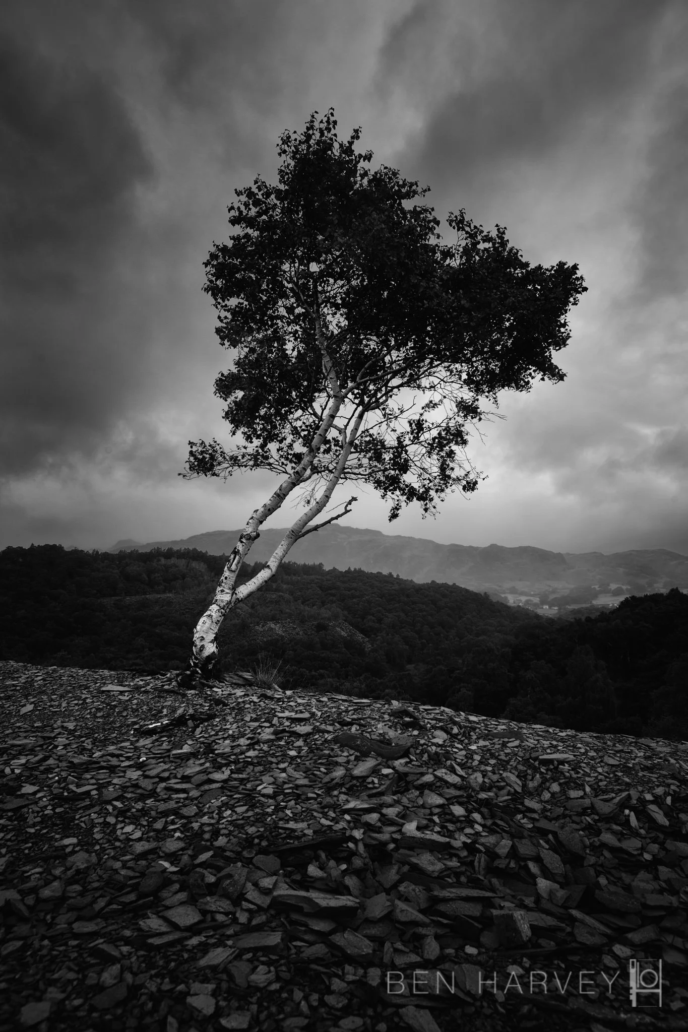 LONE TREE SLATE QUARRY.JPG