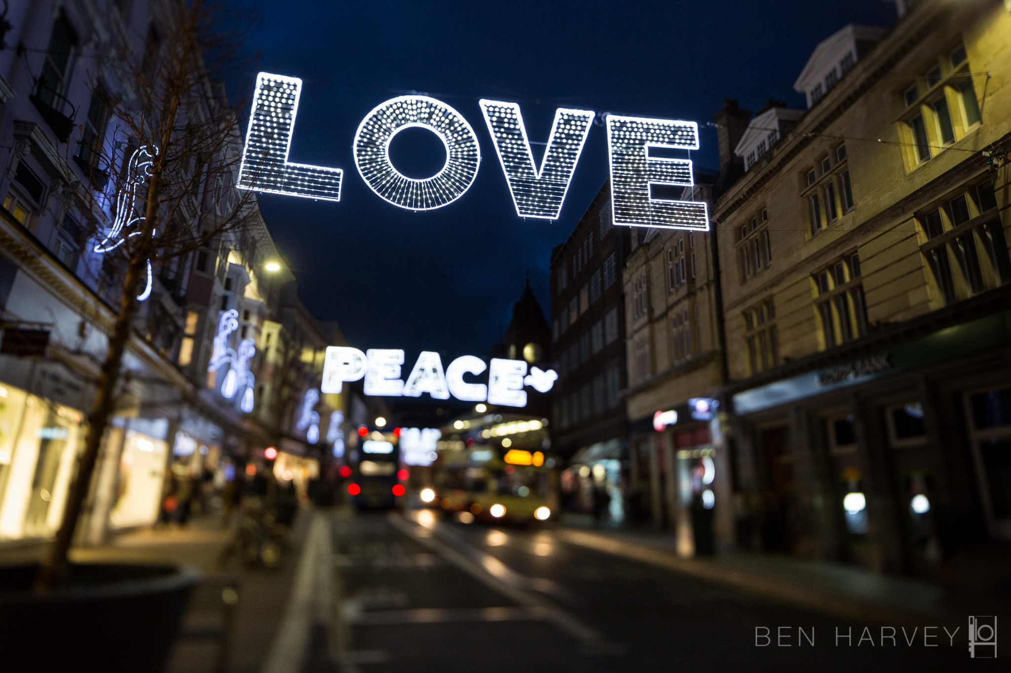 Brighton Christmas Decorations