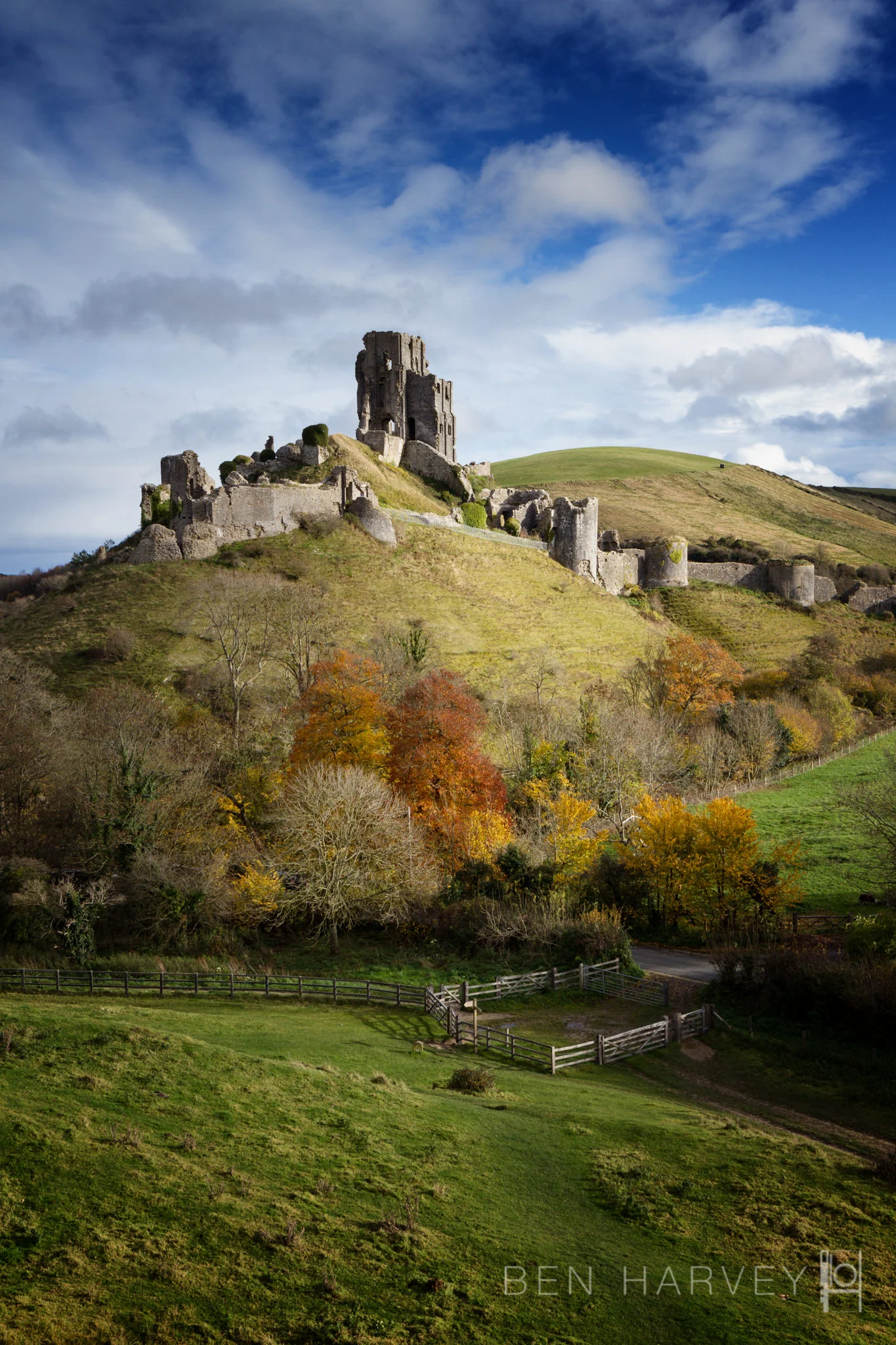 CORFE PORTRAIT.JPG