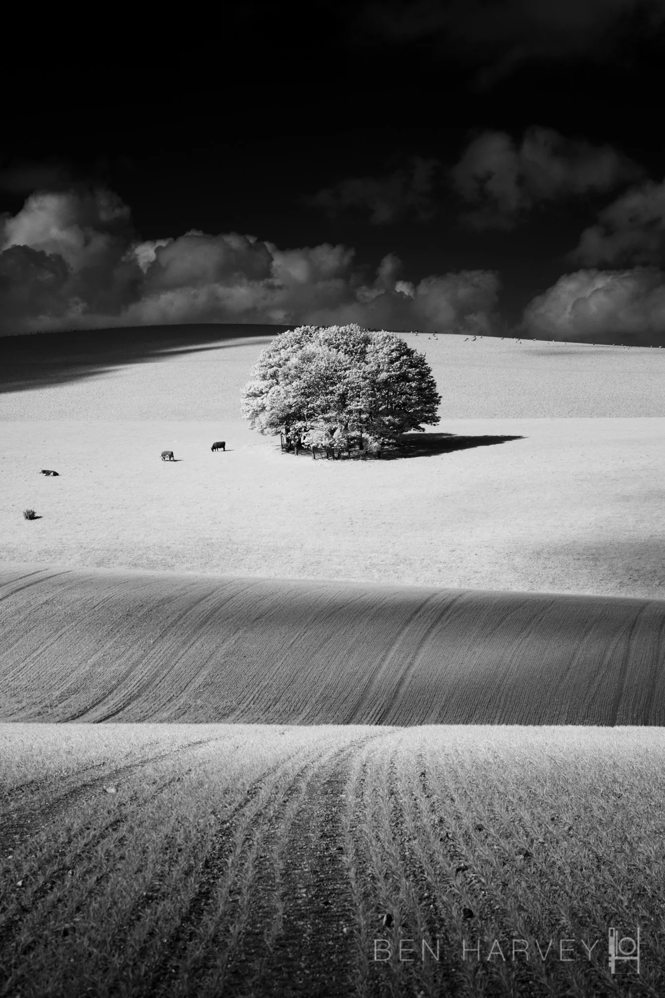 DITCHLING BEACON.JPG