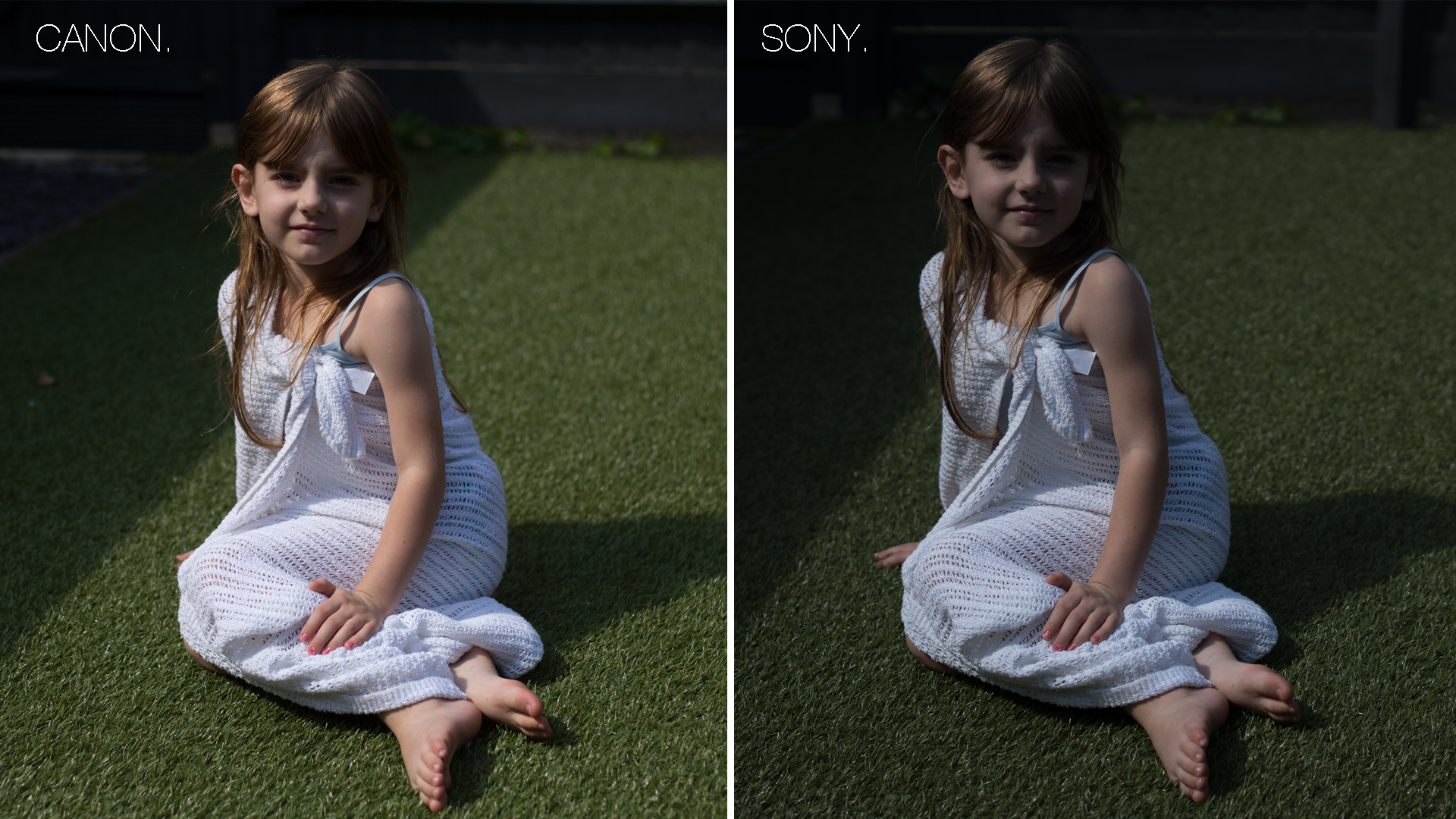 Canon vs Sony comparison 2
