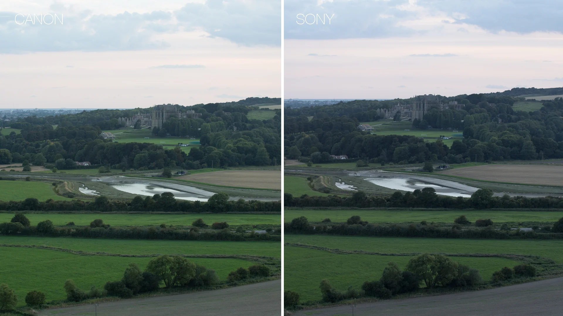 Canon vs Sony comparison 4