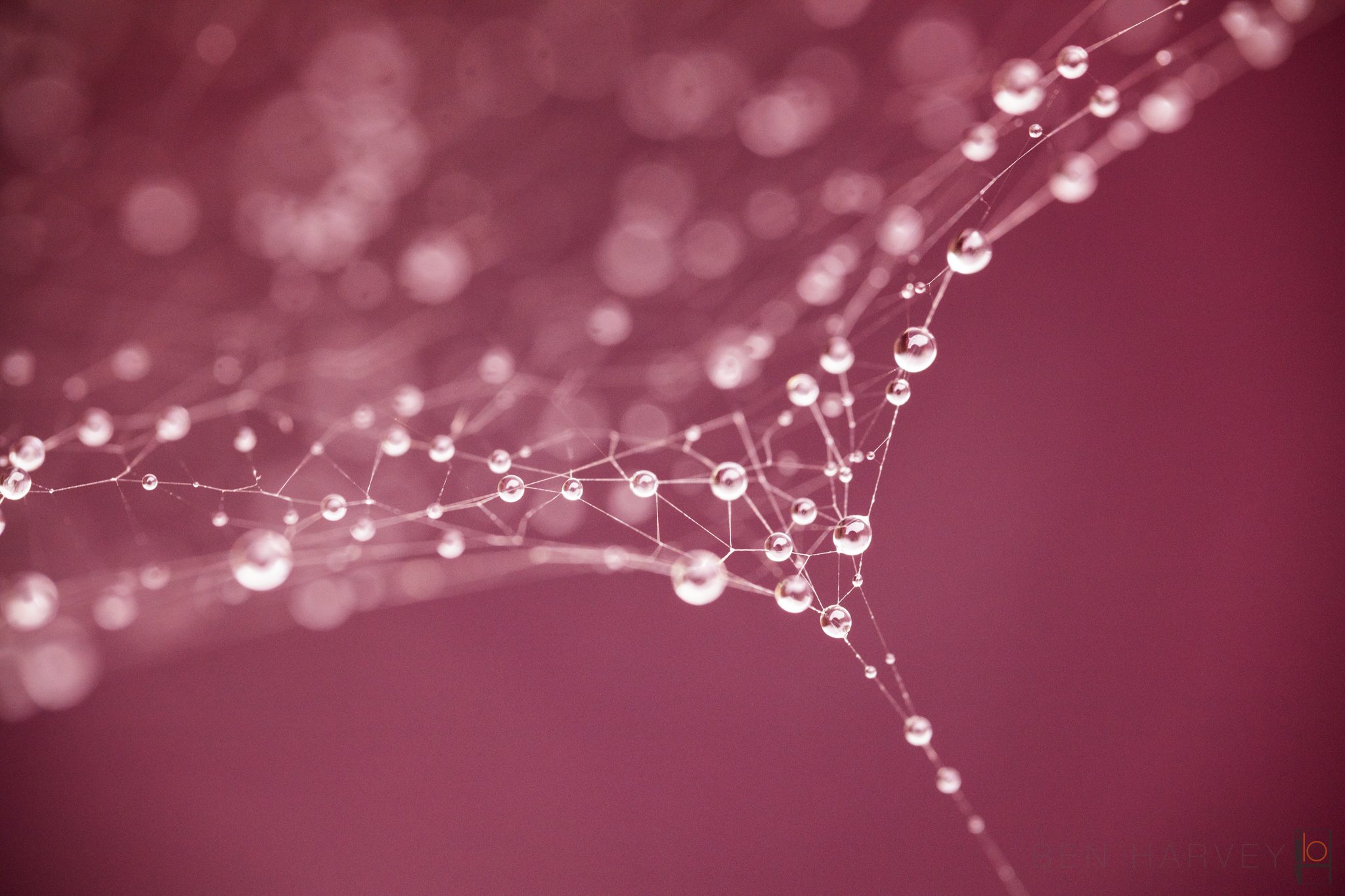9U3A8728-Edit.jpg