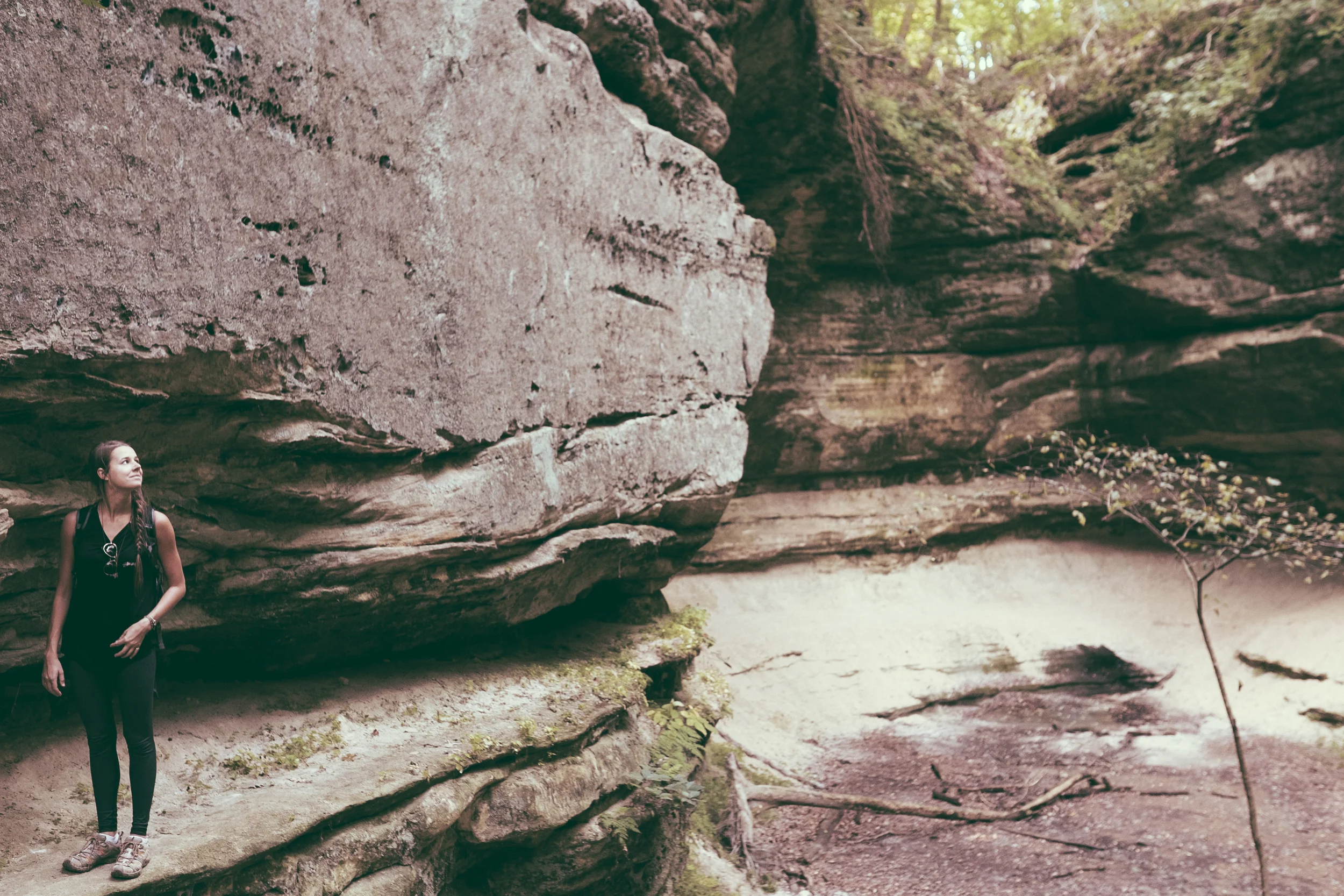 _DSF2675.jpg