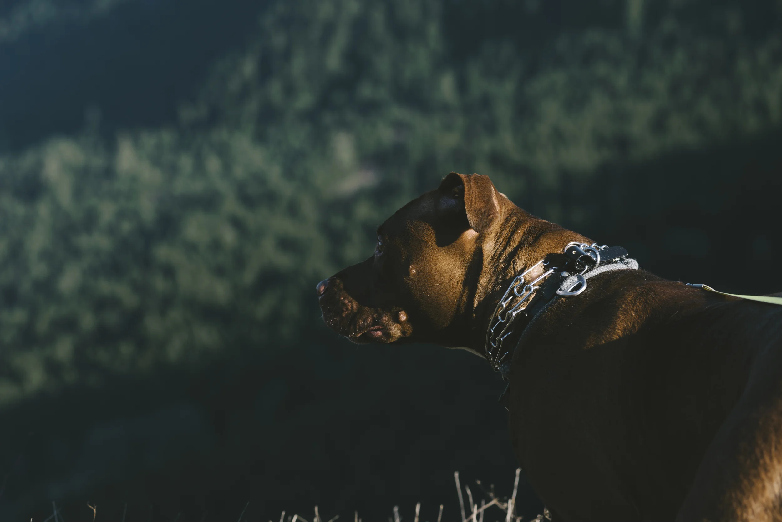 Wes on the summit