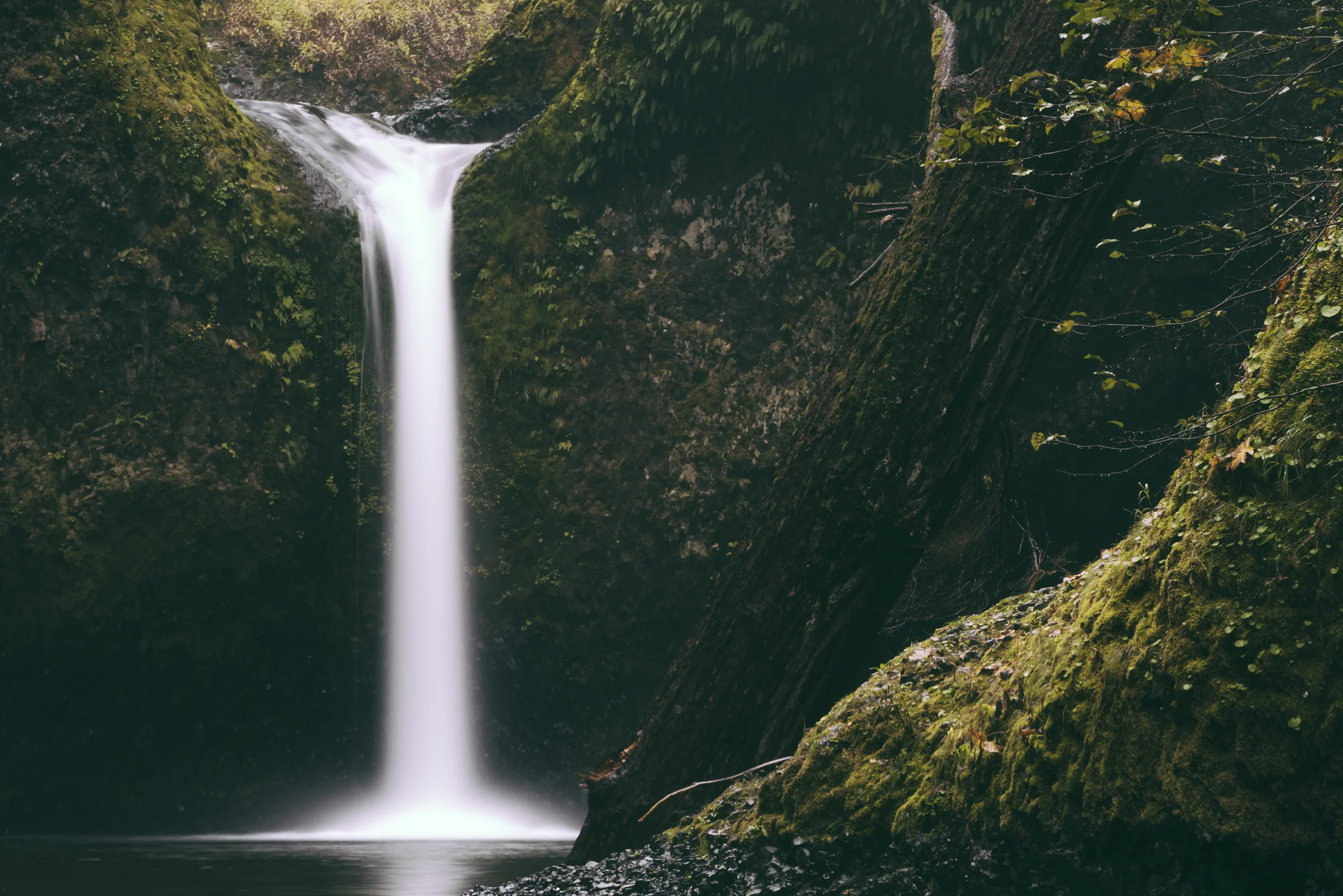 Punch Bowl Falls