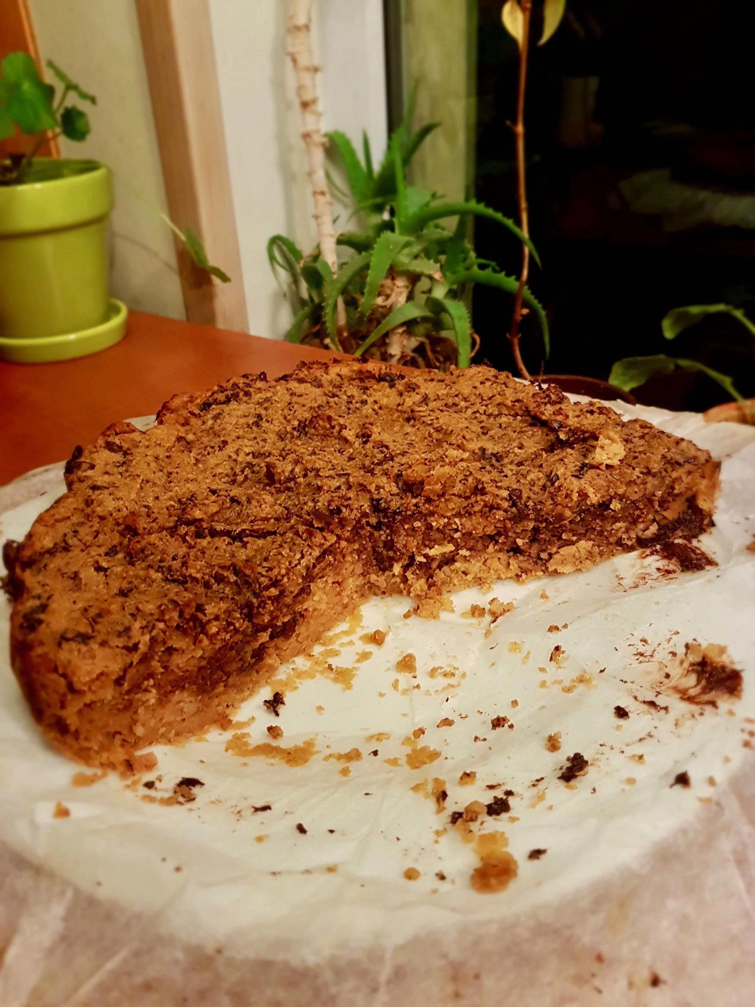 20190209_194246.jpeg