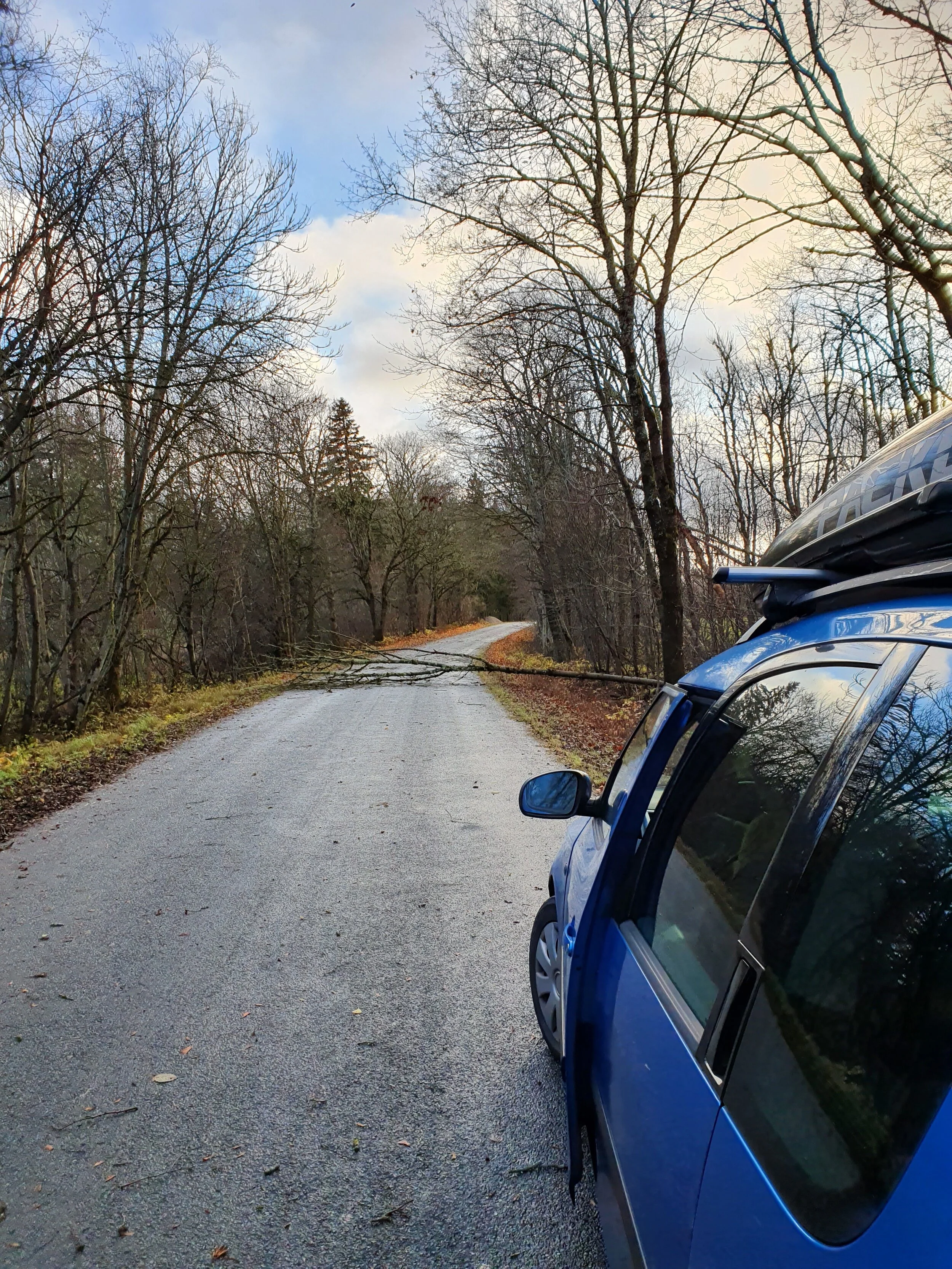 20191027_152432.jpg