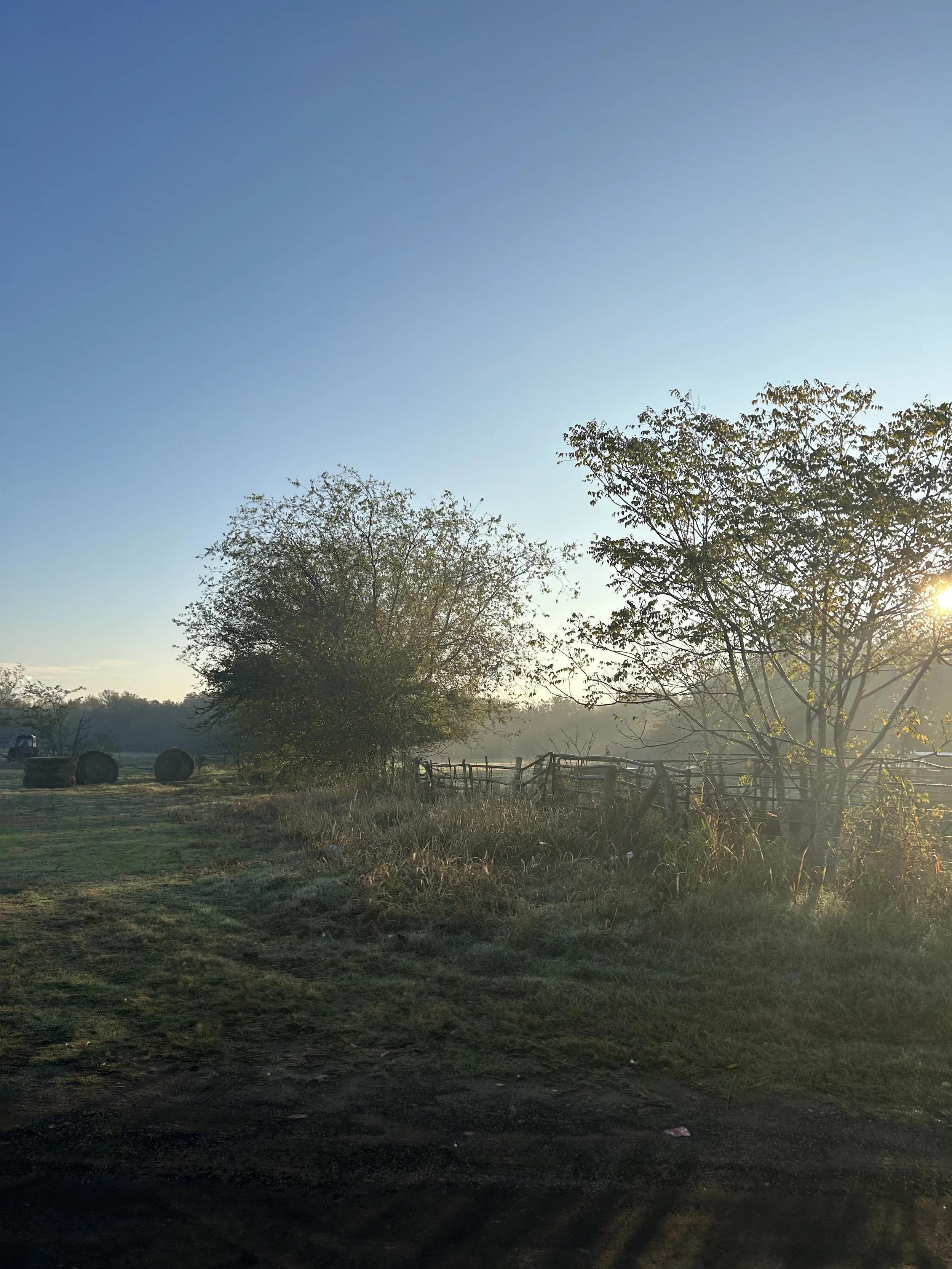 Don't Change Your Plans Because Of The Weather