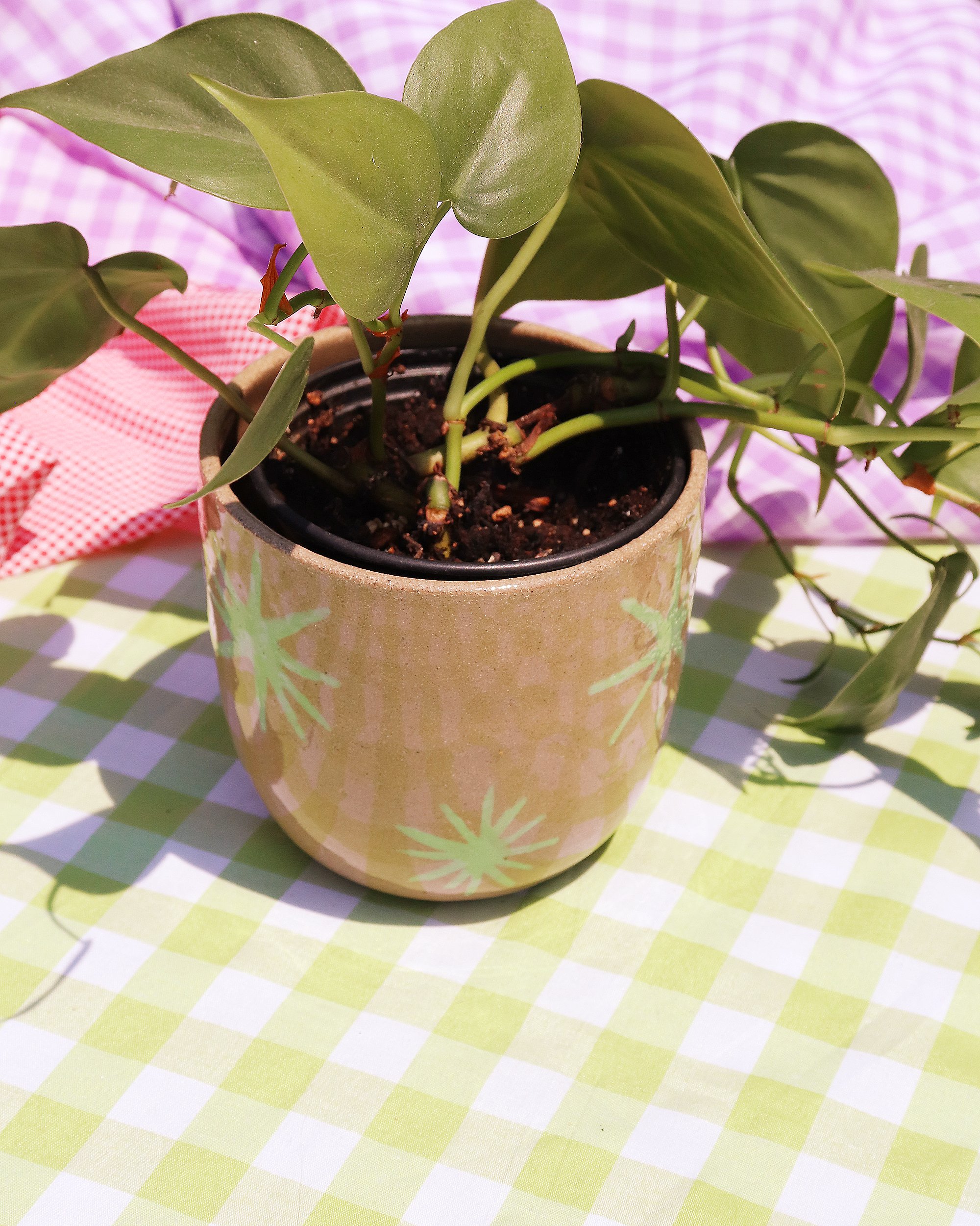starburst planter-2.jpg