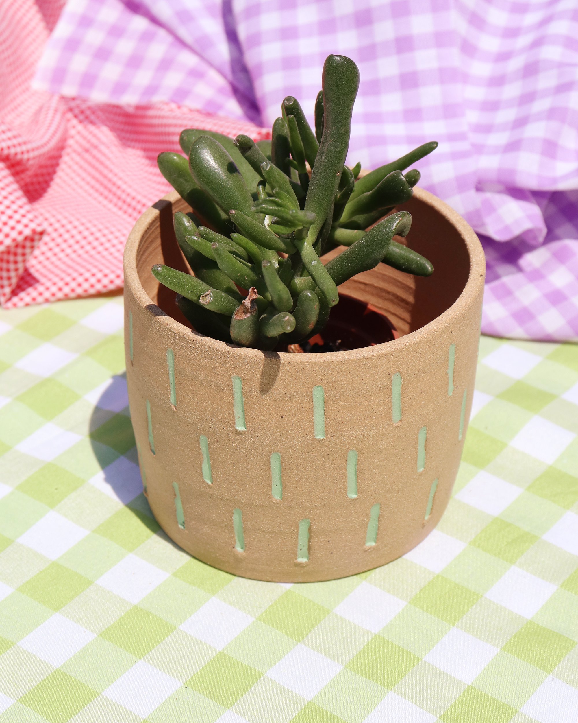 green dash planter-2.jpg