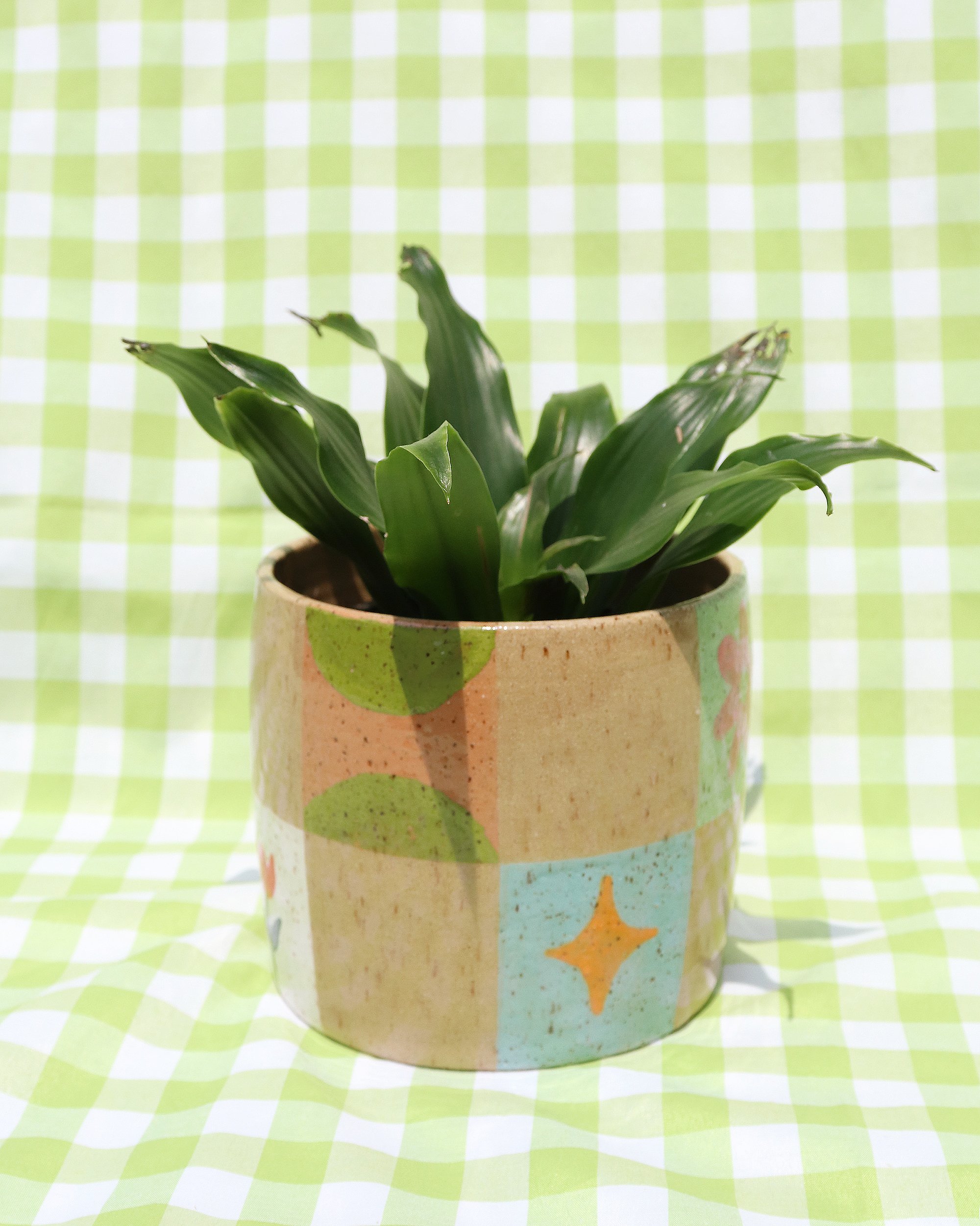 motifplanter-4.jpg